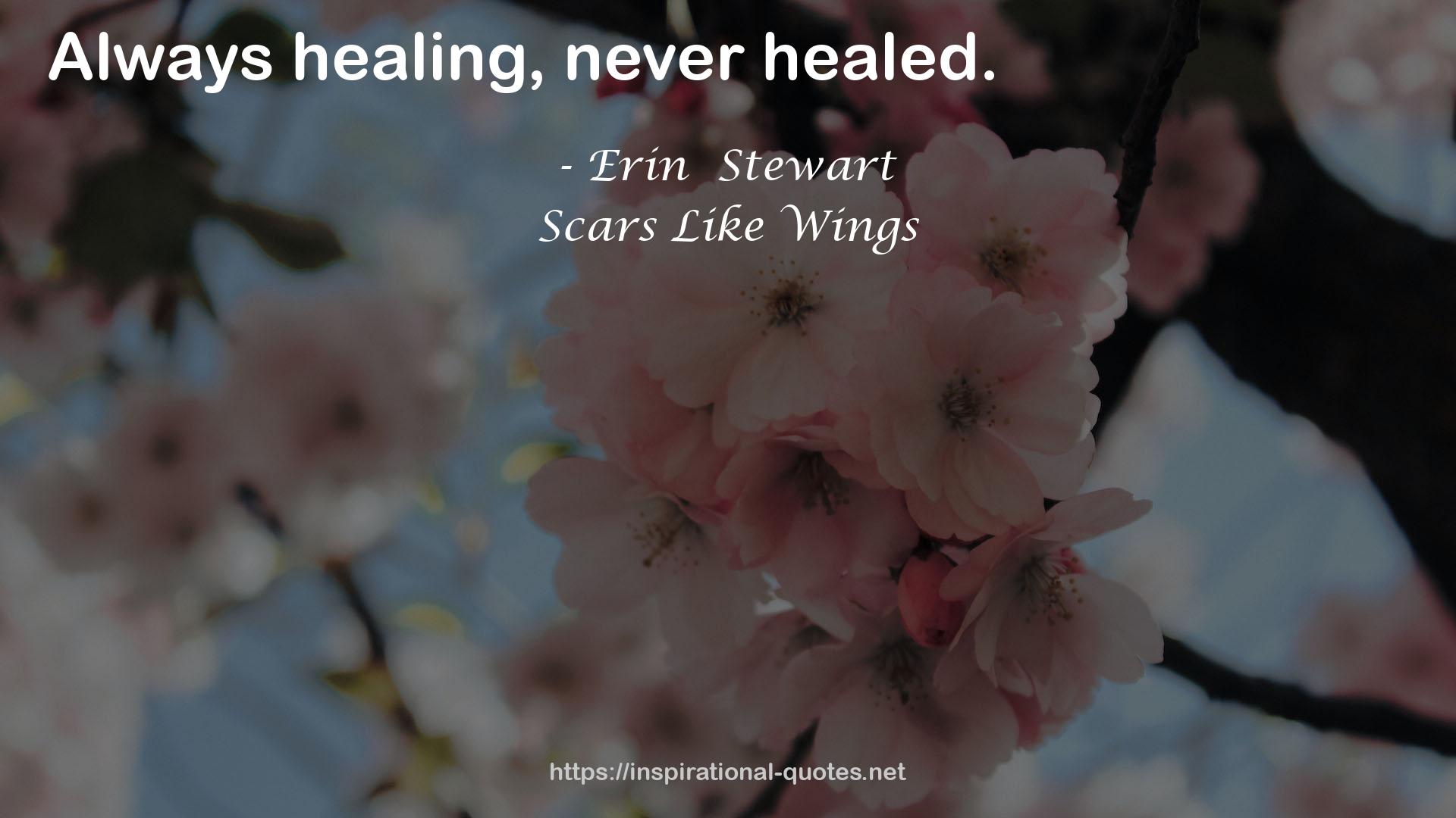 Erin  Stewart QUOTES