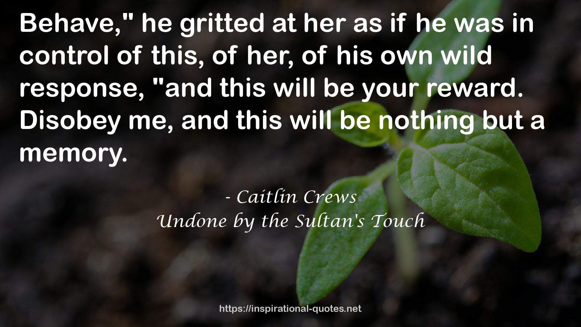 Undone by the Sultan's Touch QUOTES