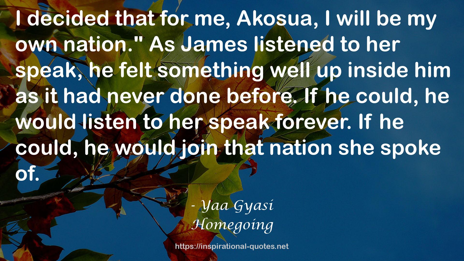 Homegoing QUOTES