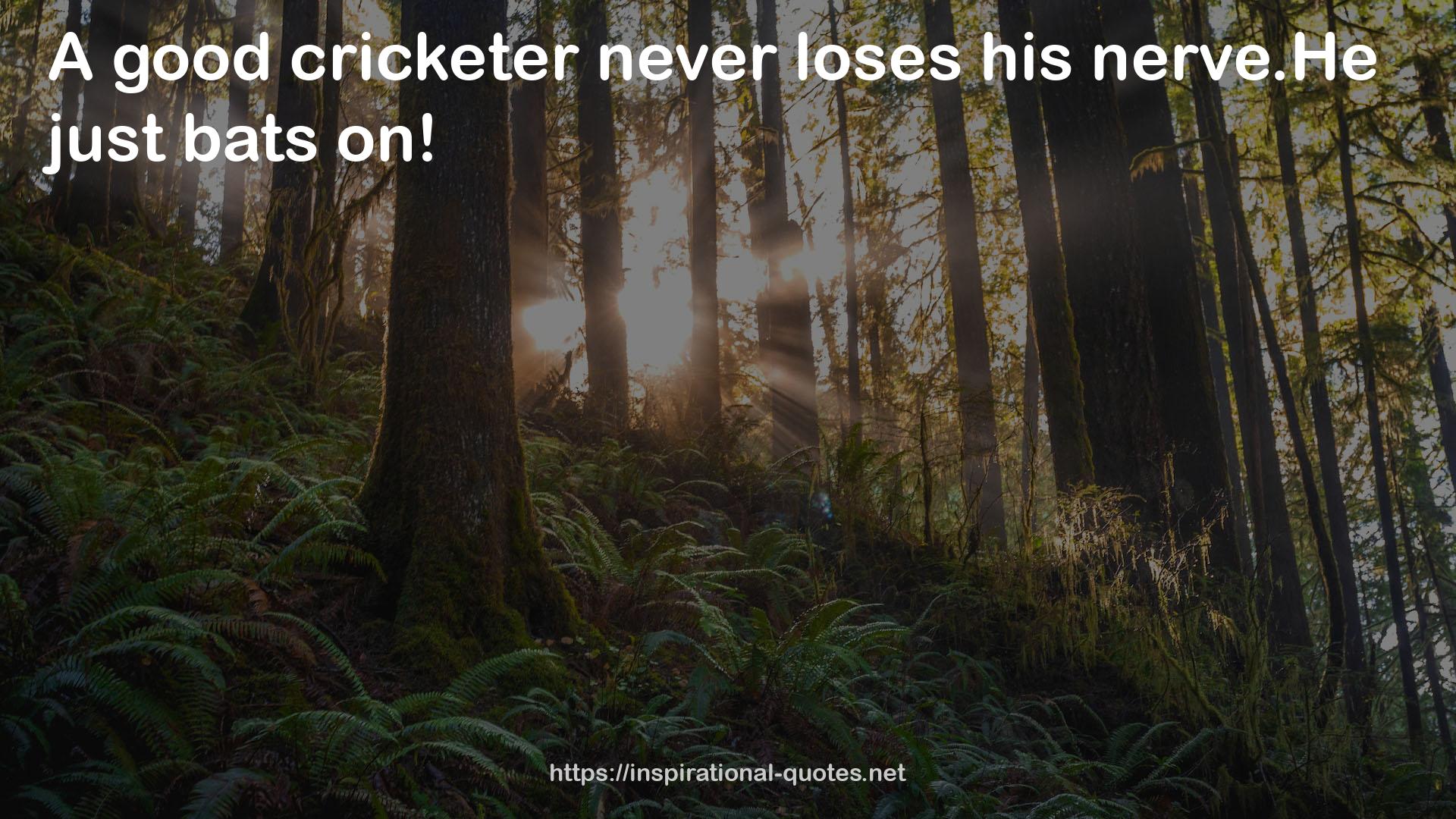 cricketer  QUOTES