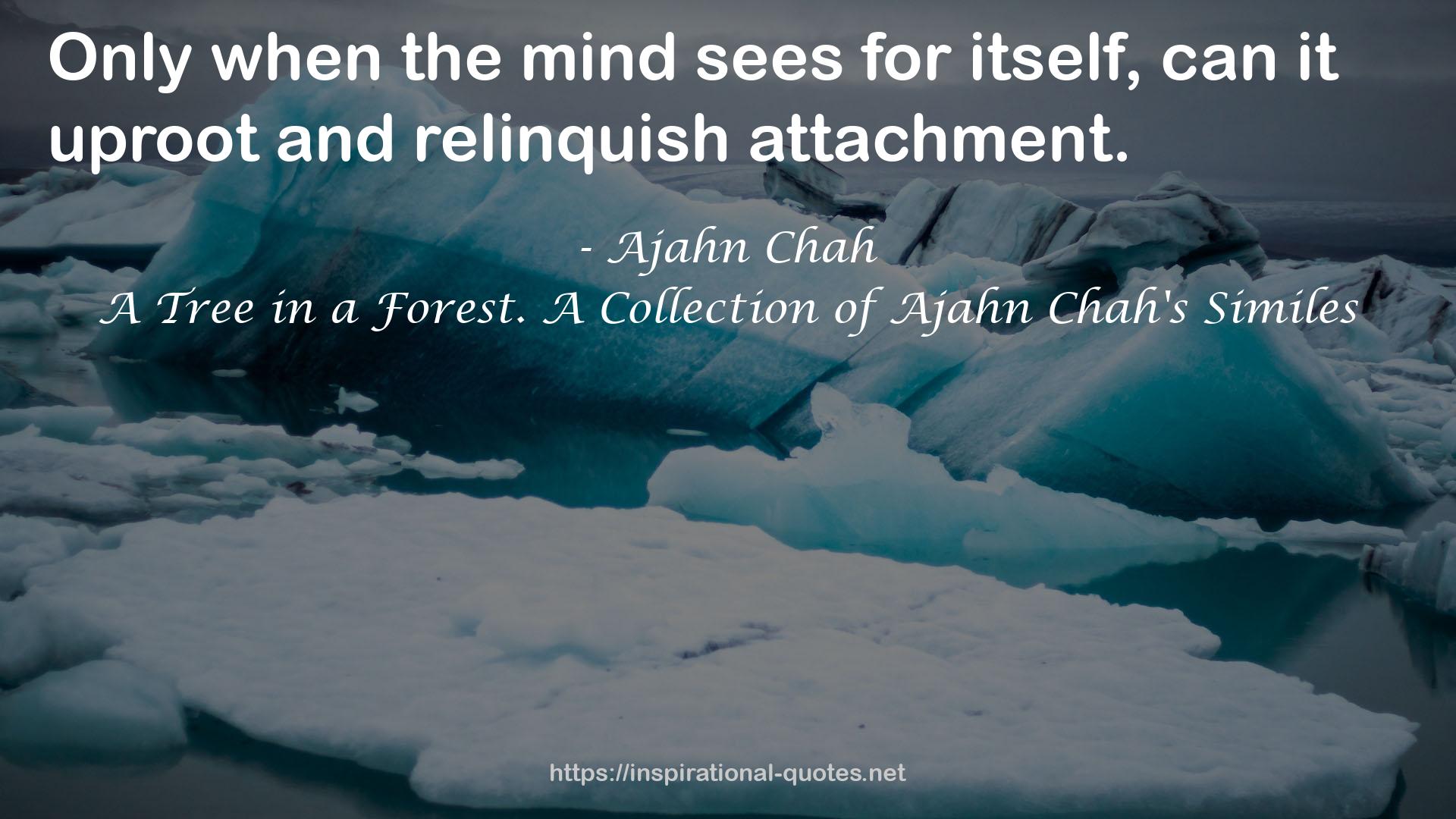 A Tree in a Forest. A Collection of Ajahn Chah's Similes QUOTES