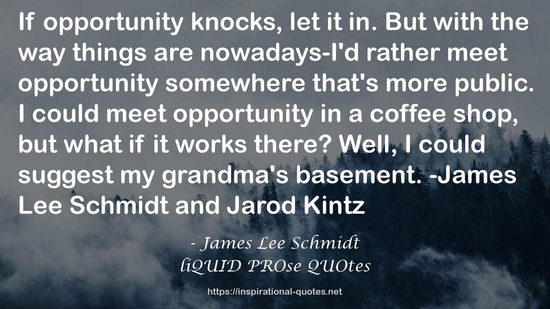 James Lee Schmidt QUOTES