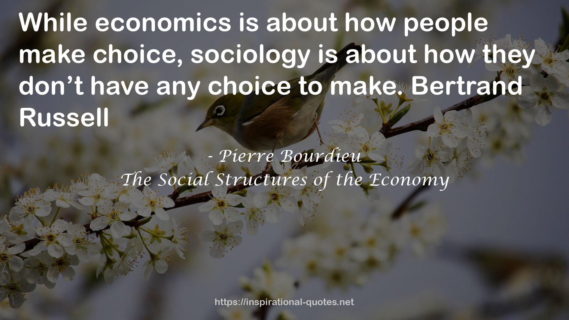 The Social Structures of the Economy QUOTES