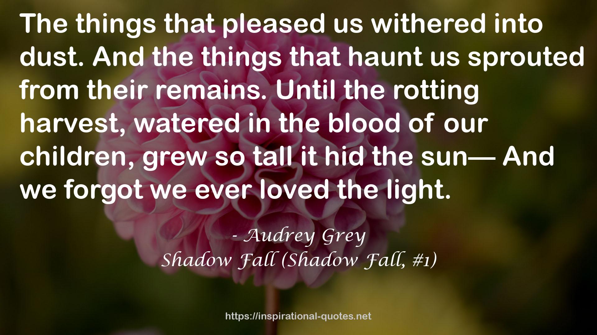 Shadow Fall (Shadow Fall, #1) QUOTES