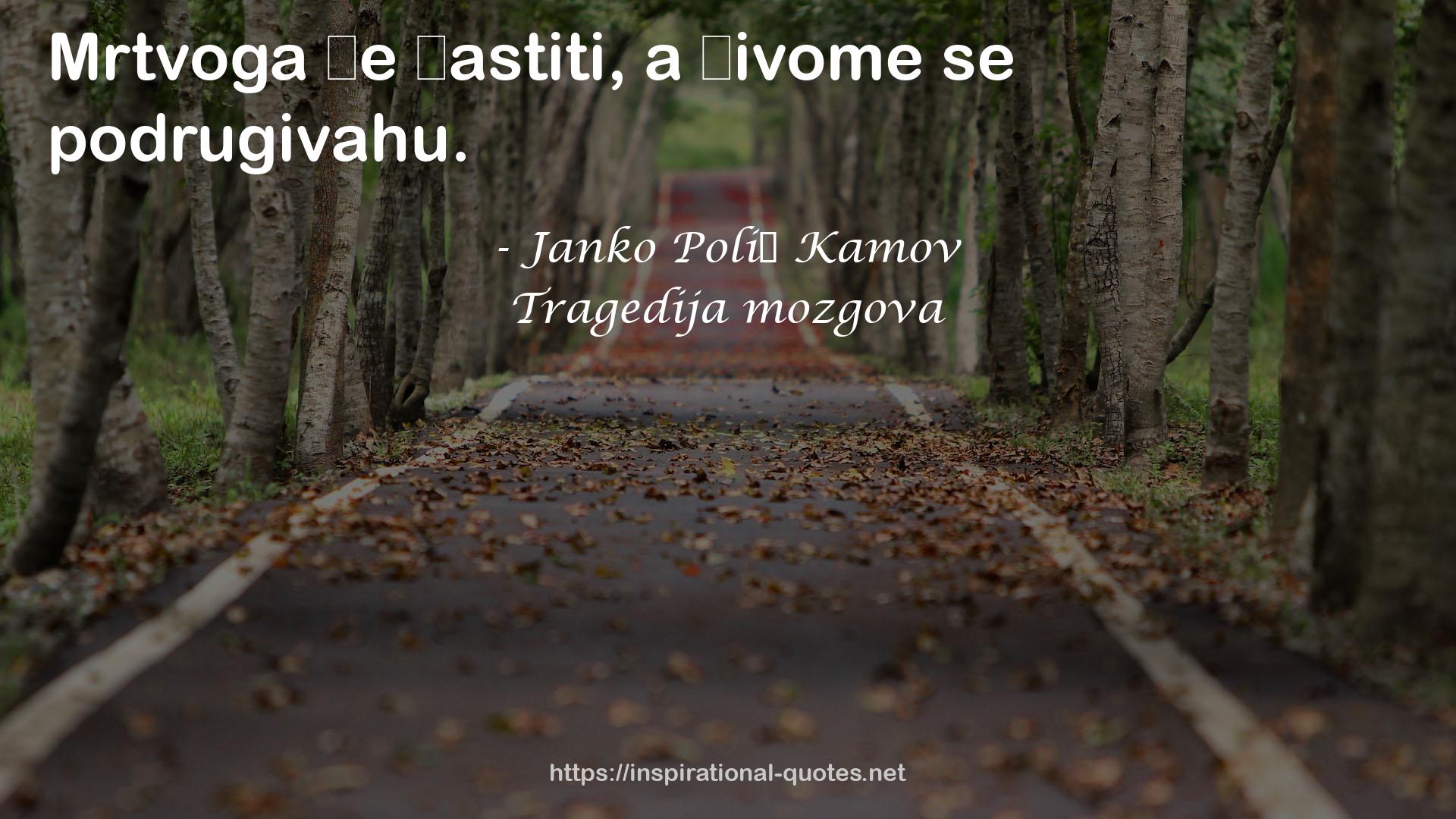 Tragedija mozgova QUOTES