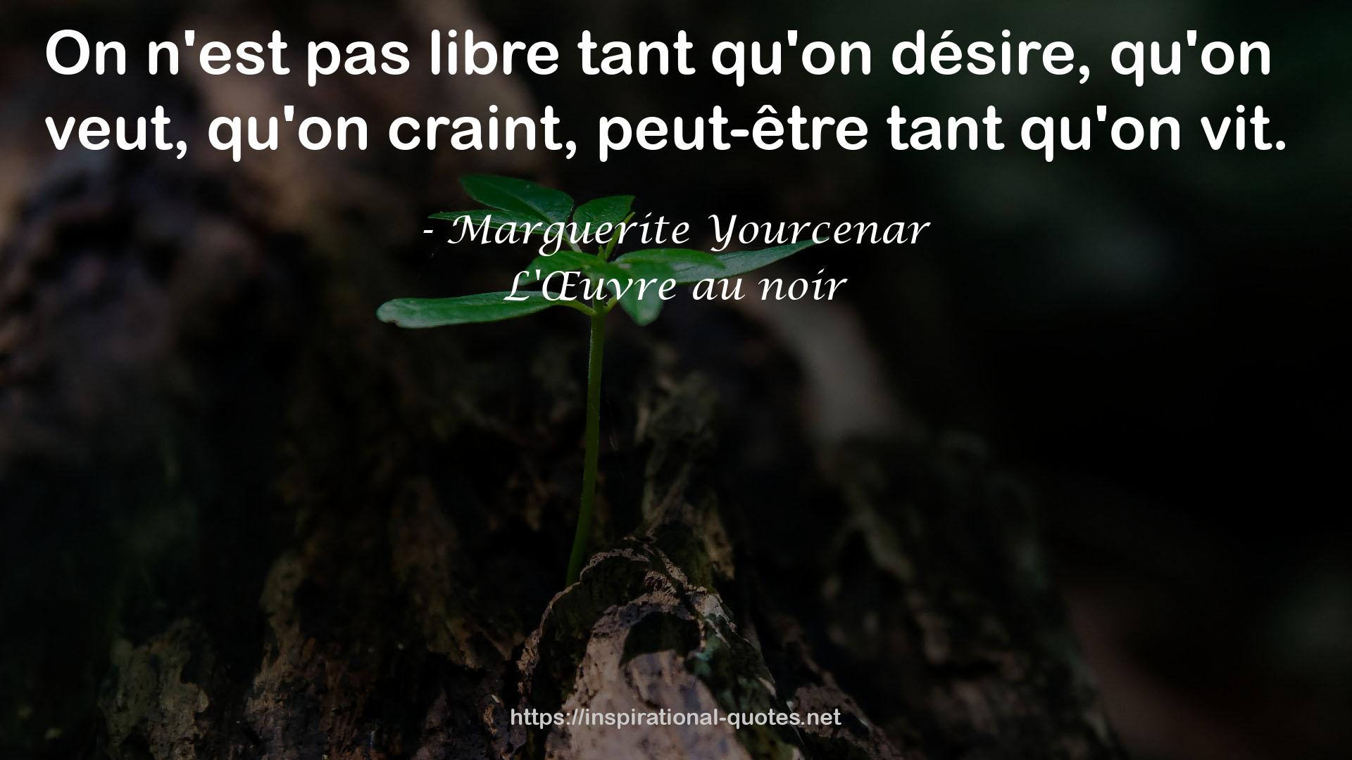 Marguerite Yourcenar QUOTES