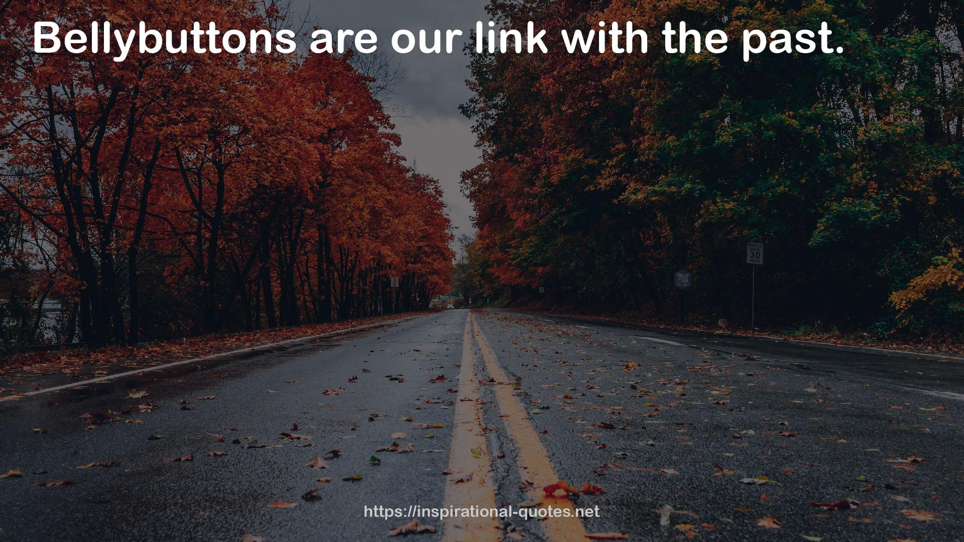 our link  QUOTES