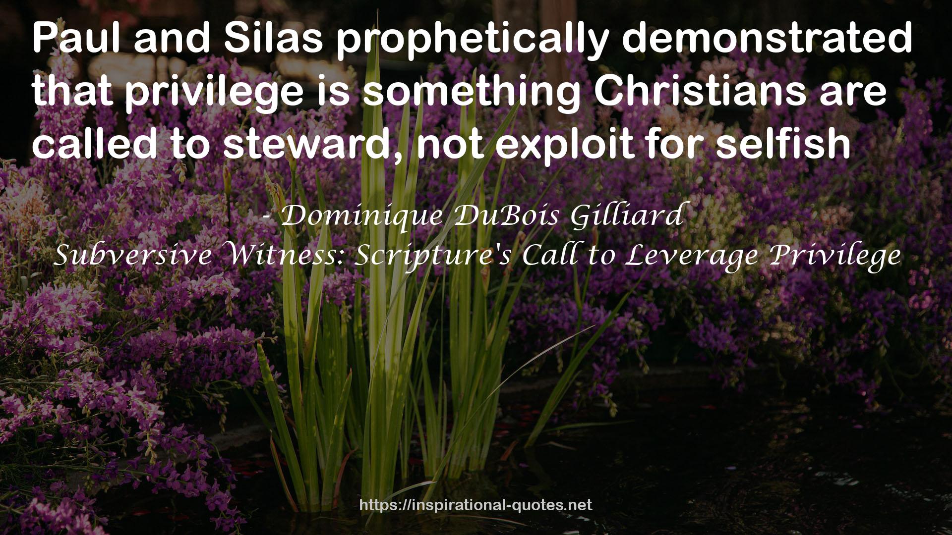Subversive Witness: Scripture's Call to Leverage Privilege QUOTES
