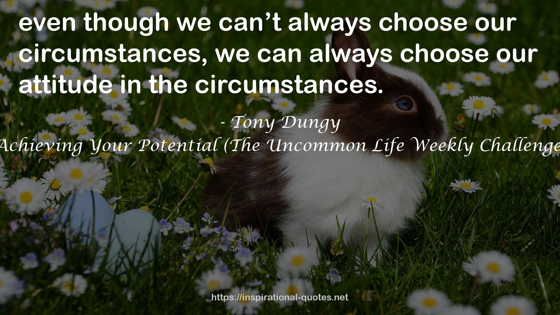 Achieving Your Potential (The Uncommon Life Weekly Challenge) QUOTES