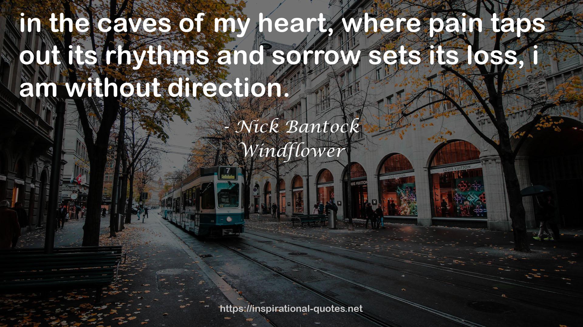 Windflower QUOTES