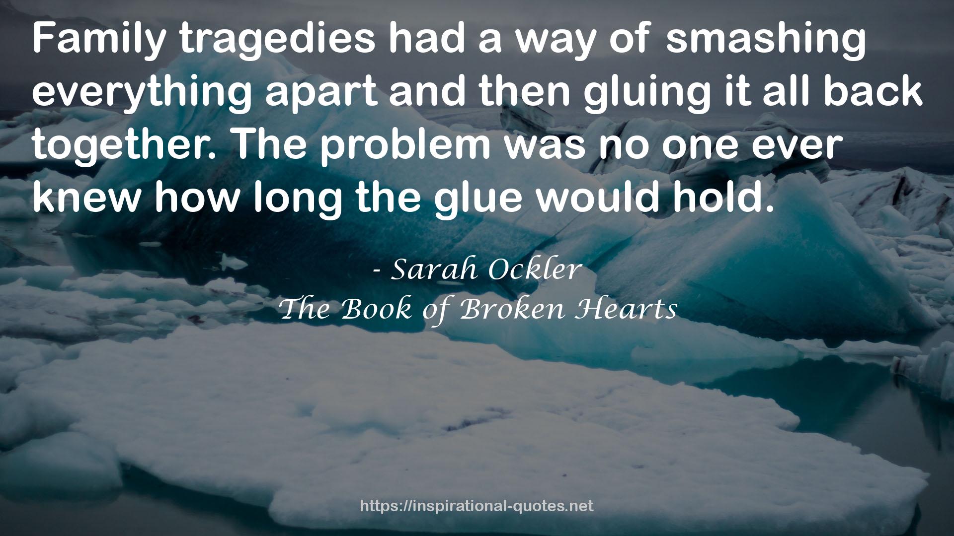 The Book of Broken Hearts QUOTES