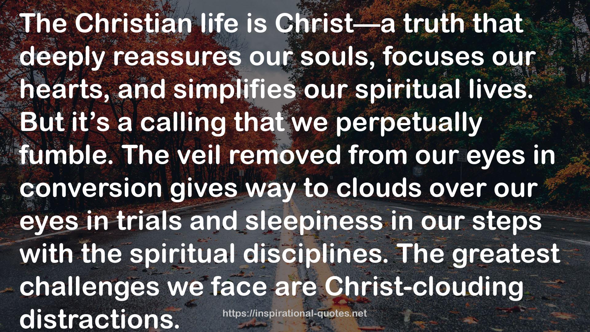 Newton on the Christian Life: To Live Is Christ (Theologians on the Christian Life) QUOTES