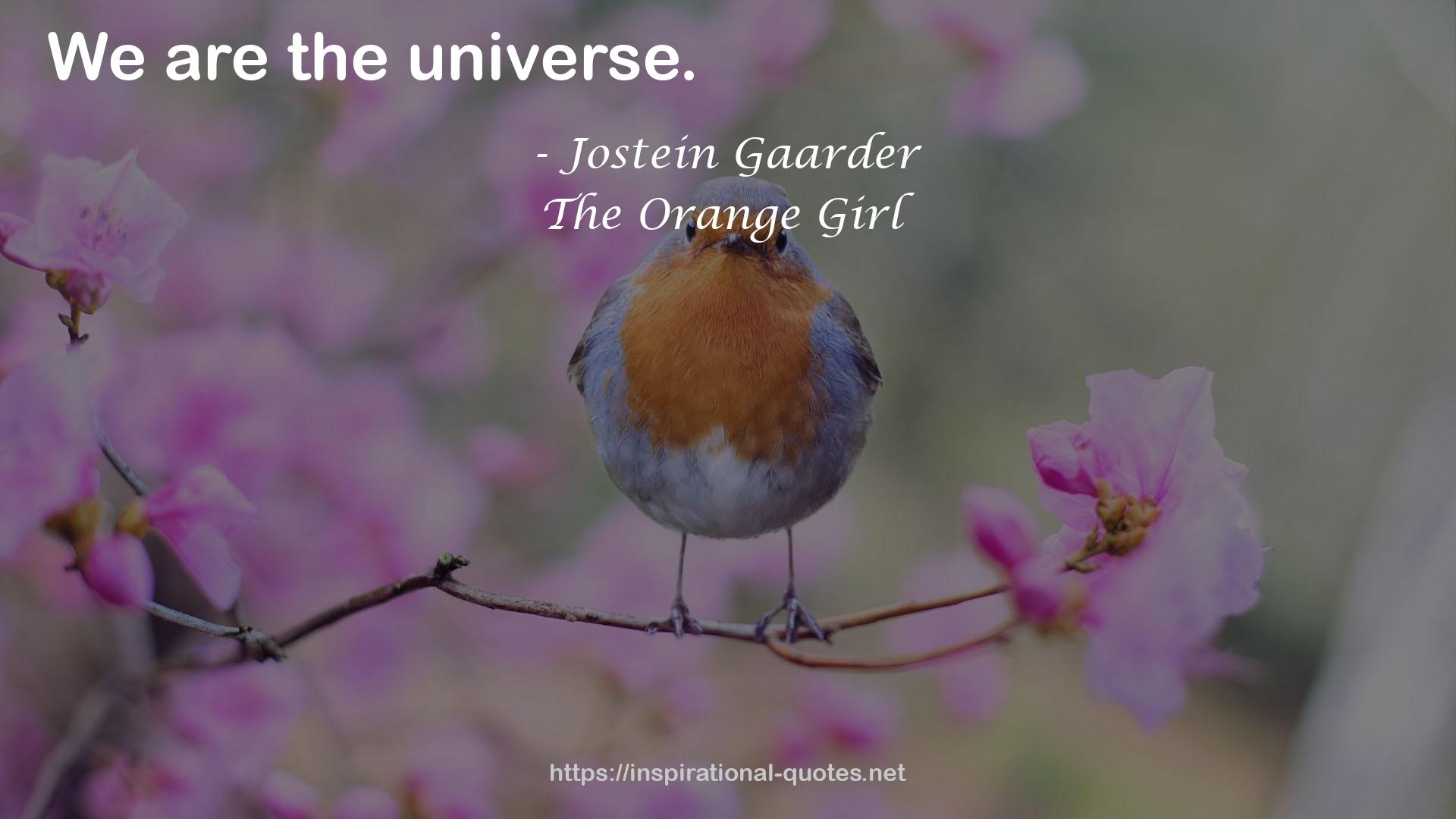 the universe  QUOTES