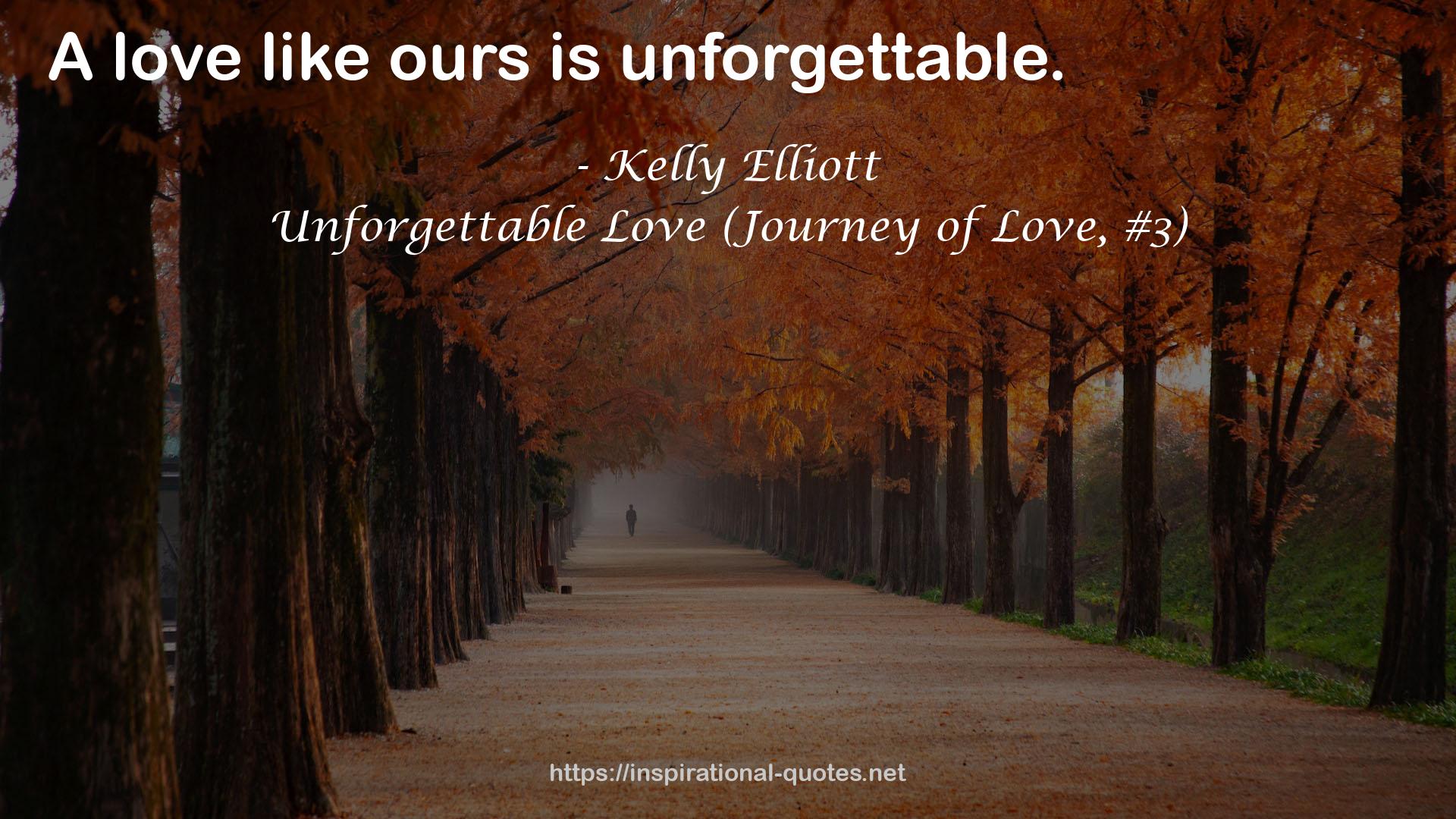 Unforgettable Love (Journey of Love, #3) QUOTES