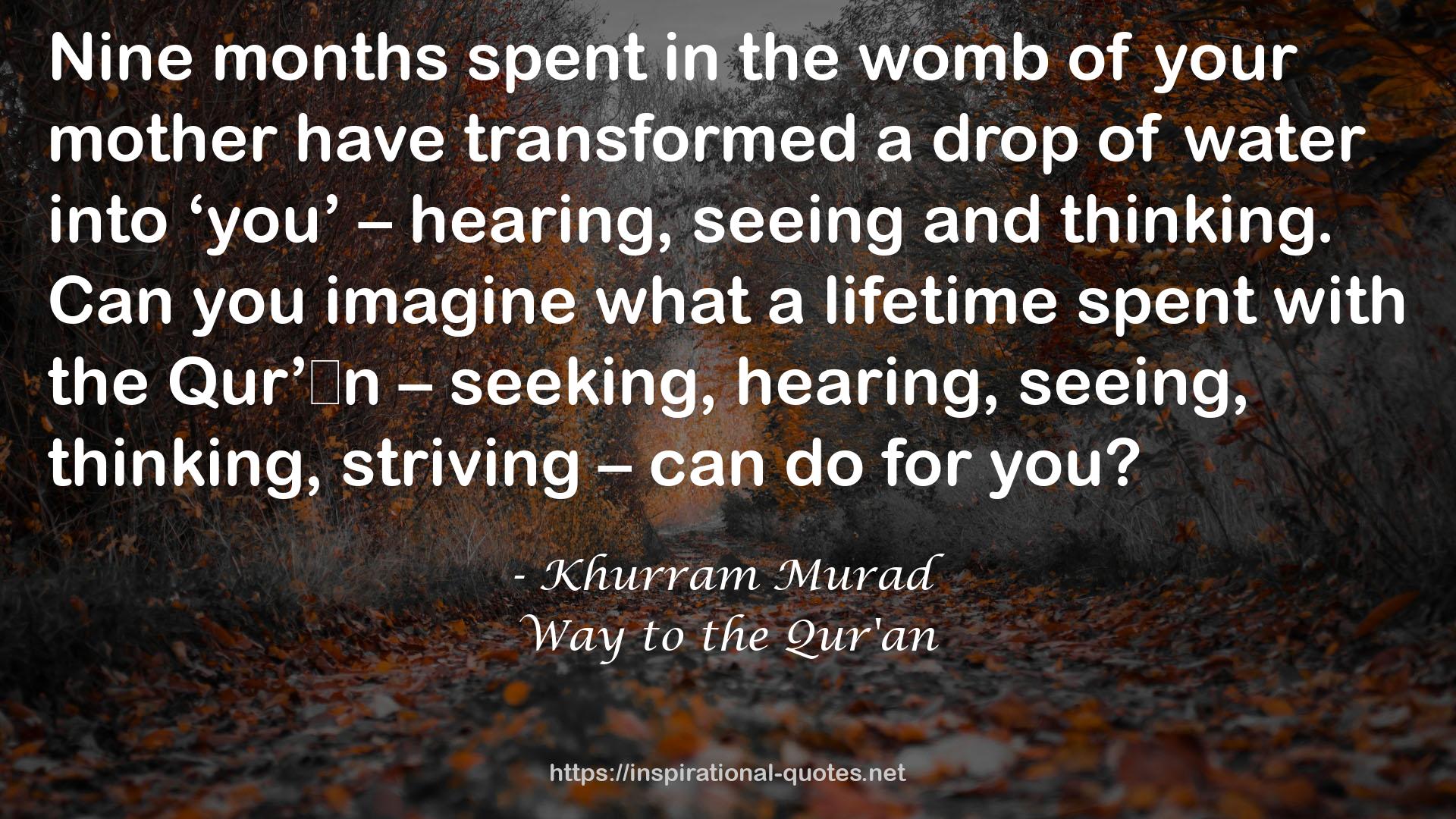 Way to the Qur'an QUOTES