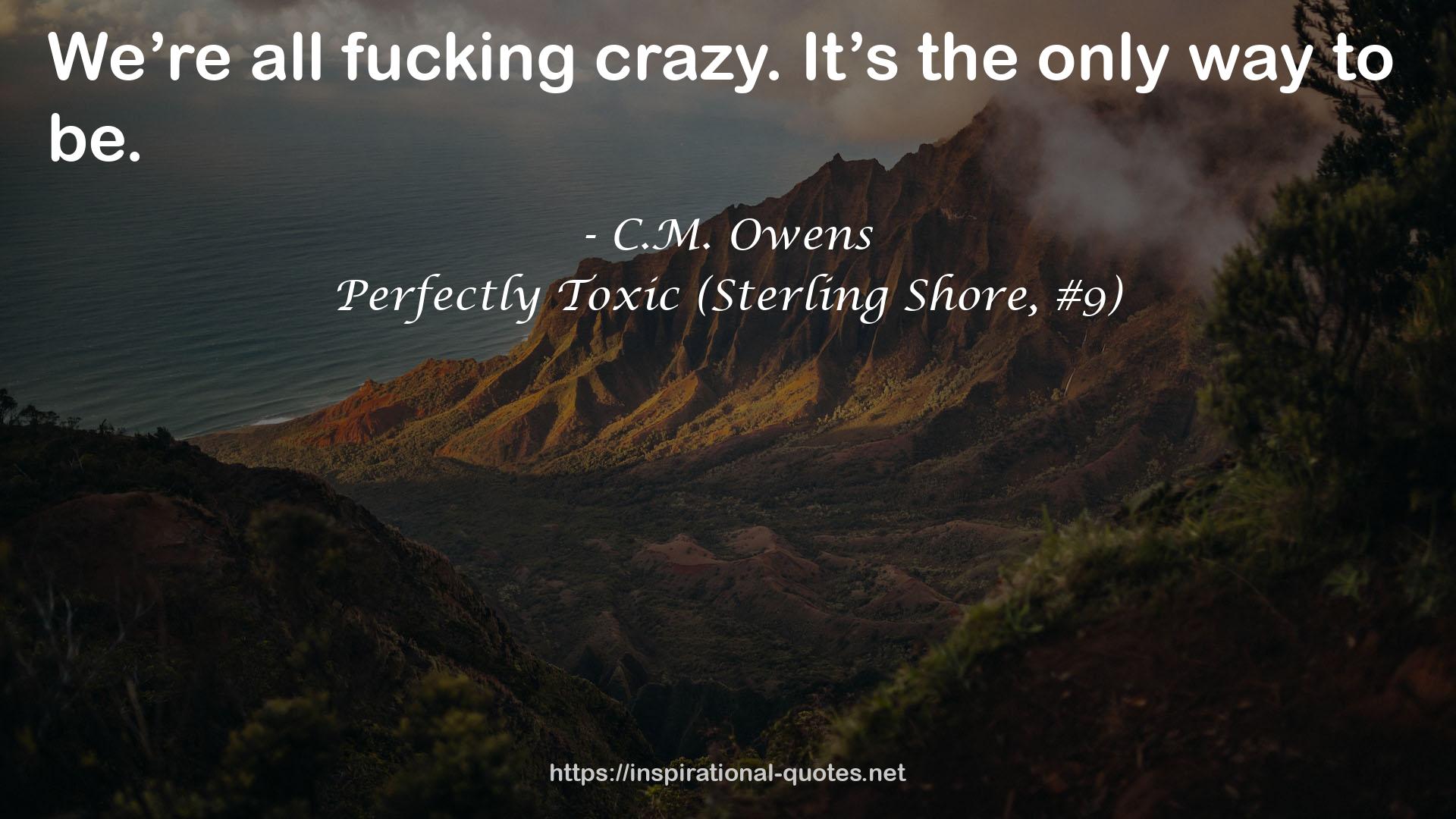 Perfectly Toxic (Sterling Shore, #9) QUOTES