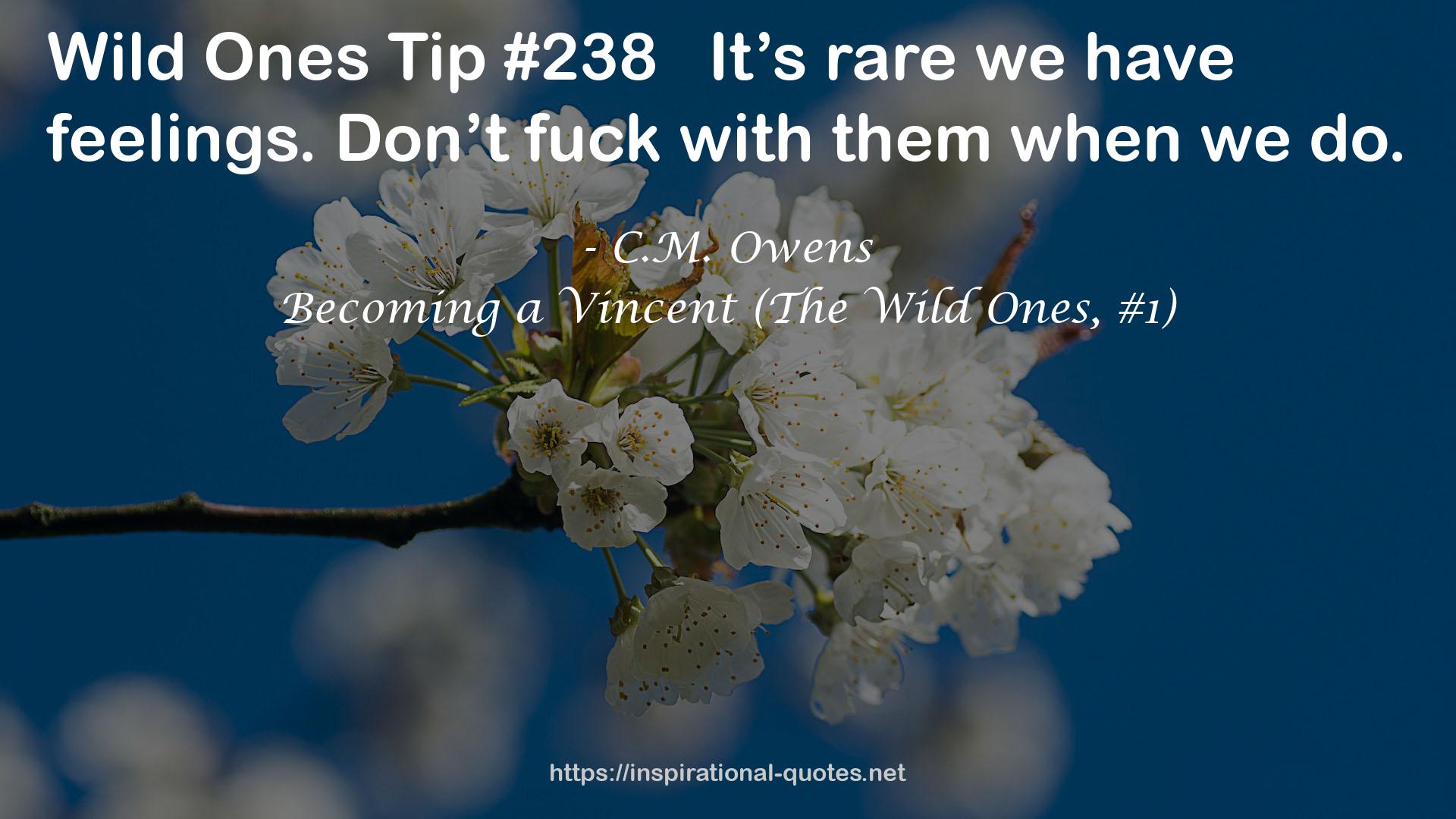 Becoming a Vincent (The Wild Ones, #1) QUOTES