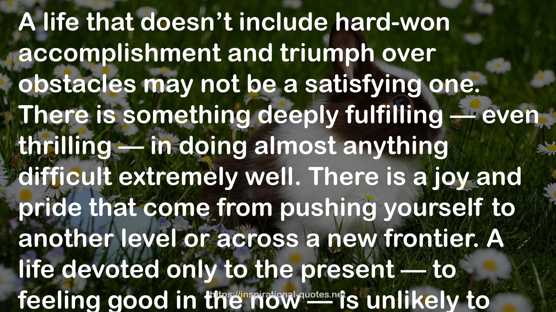 The Triple Package: How Three Unlikely Traits Explain the Rise and Fall of Cultural Groups in America QUOTES