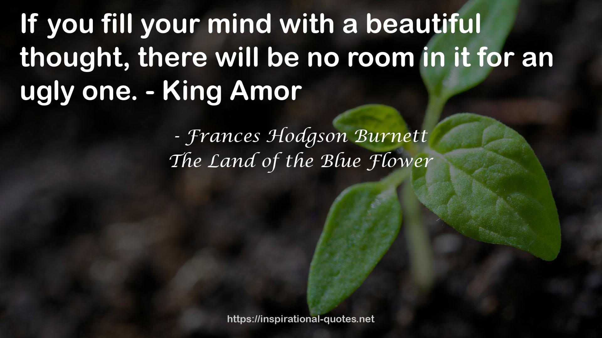 The Land of the Blue Flower QUOTES