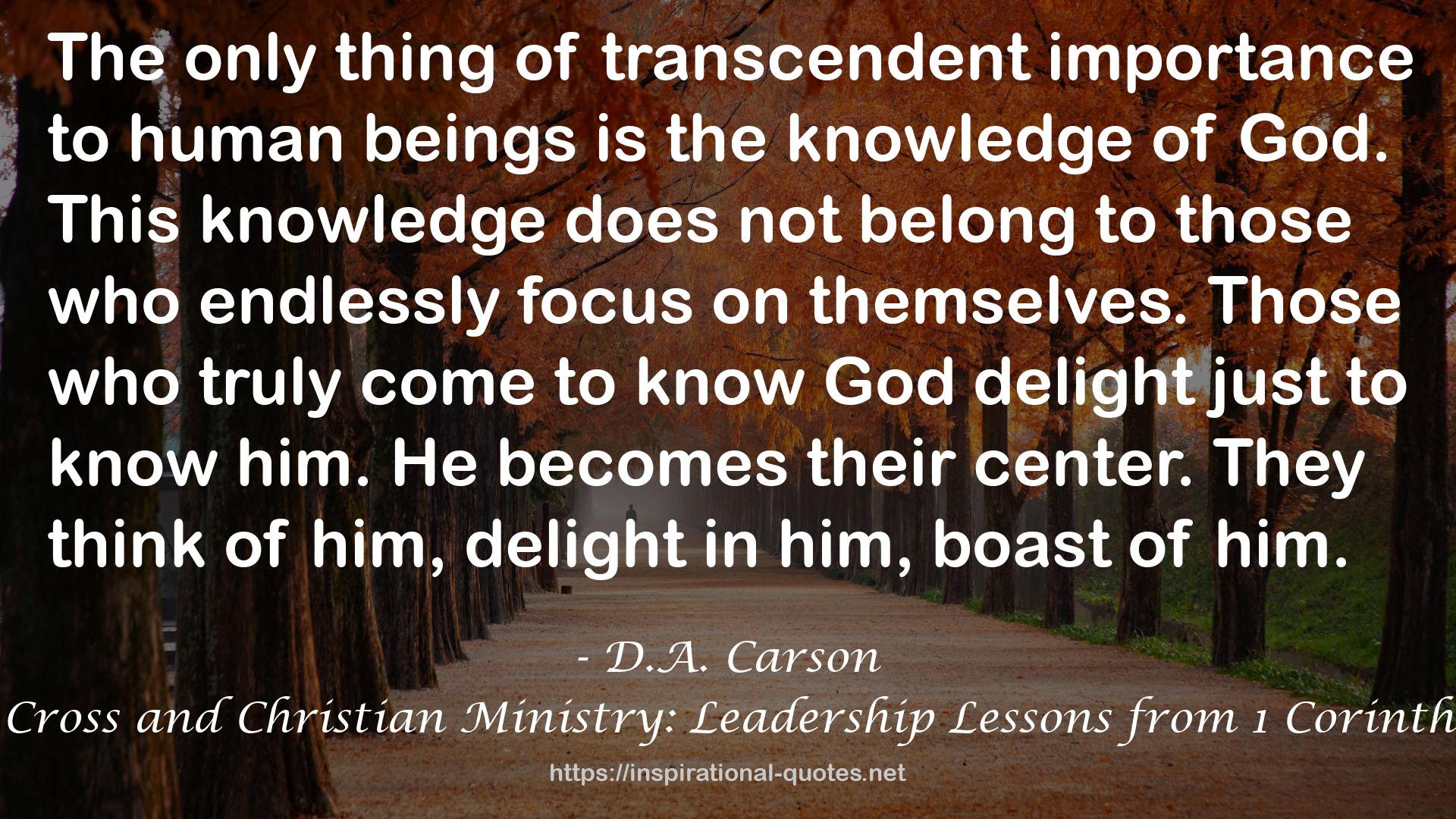 The Cross and Christian Ministry: Leadership Lessons from 1 Corinthians QUOTES