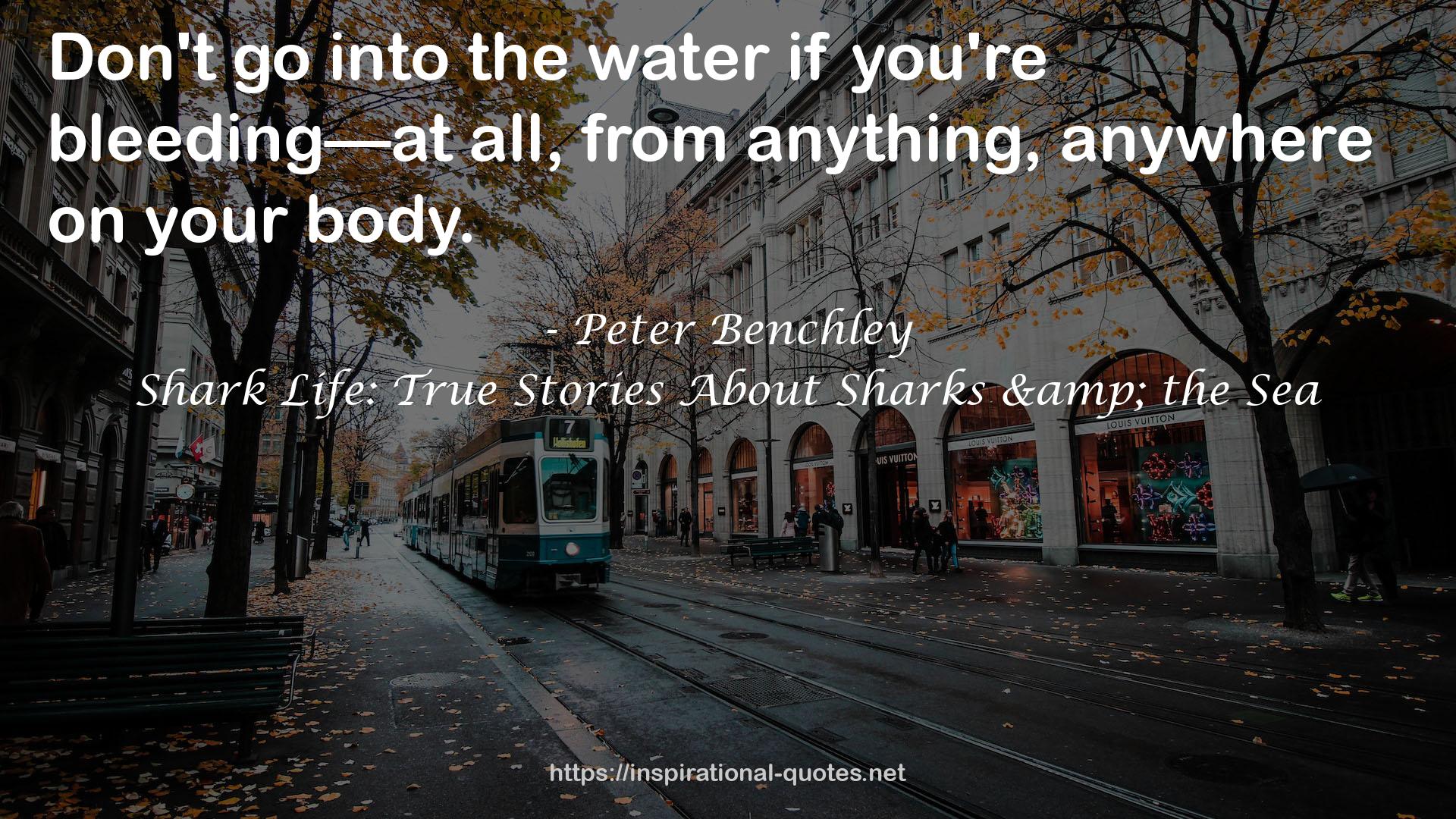 Shark Life: True Stories About Sharks & the Sea QUOTES