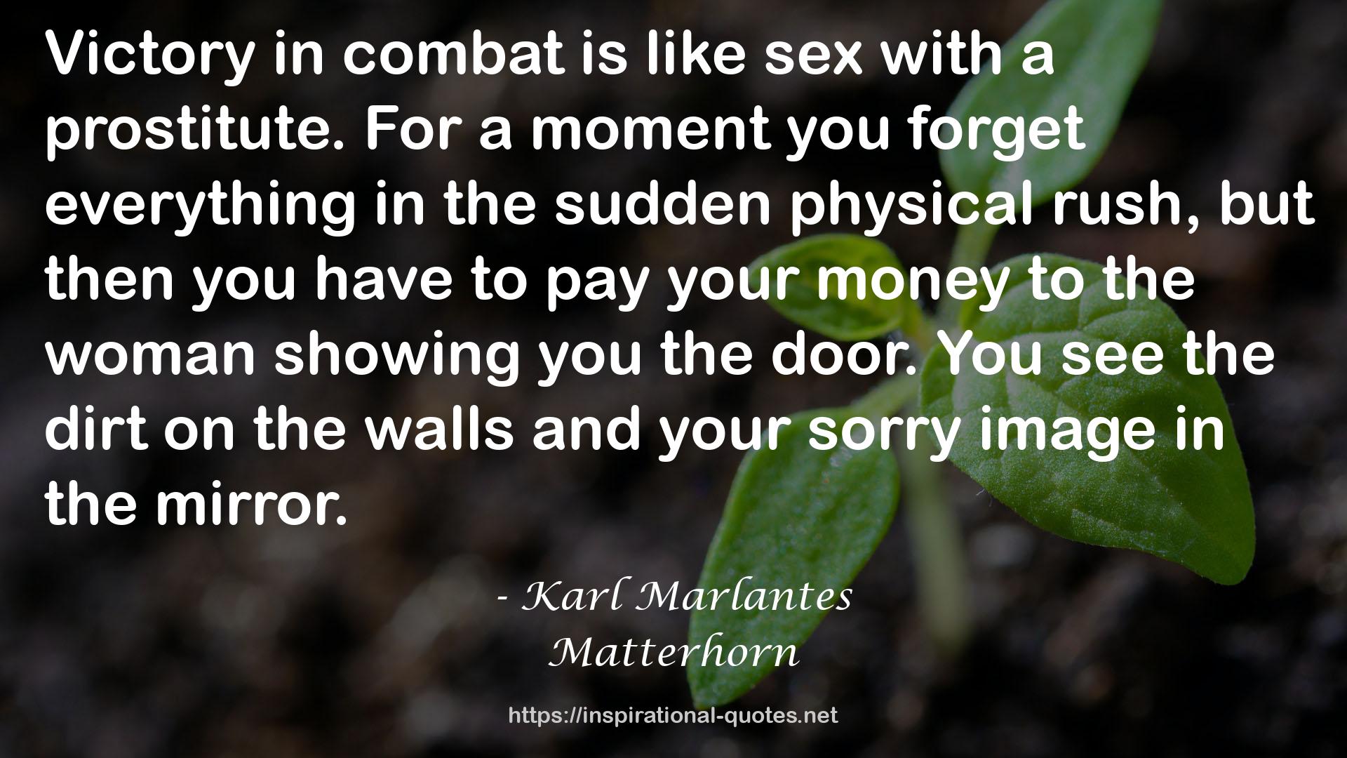 Karl Marlantes QUOTES