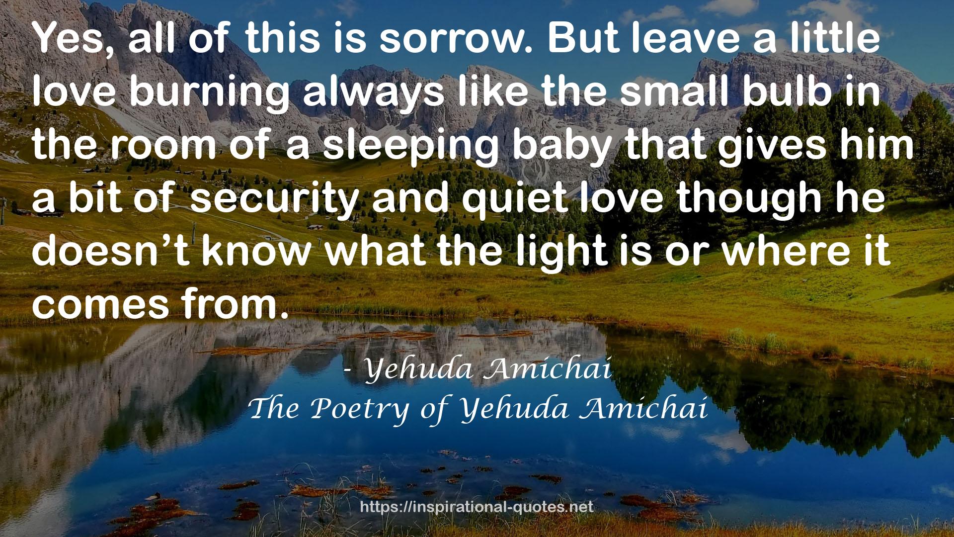 The Poetry of Yehuda Amichai QUOTES