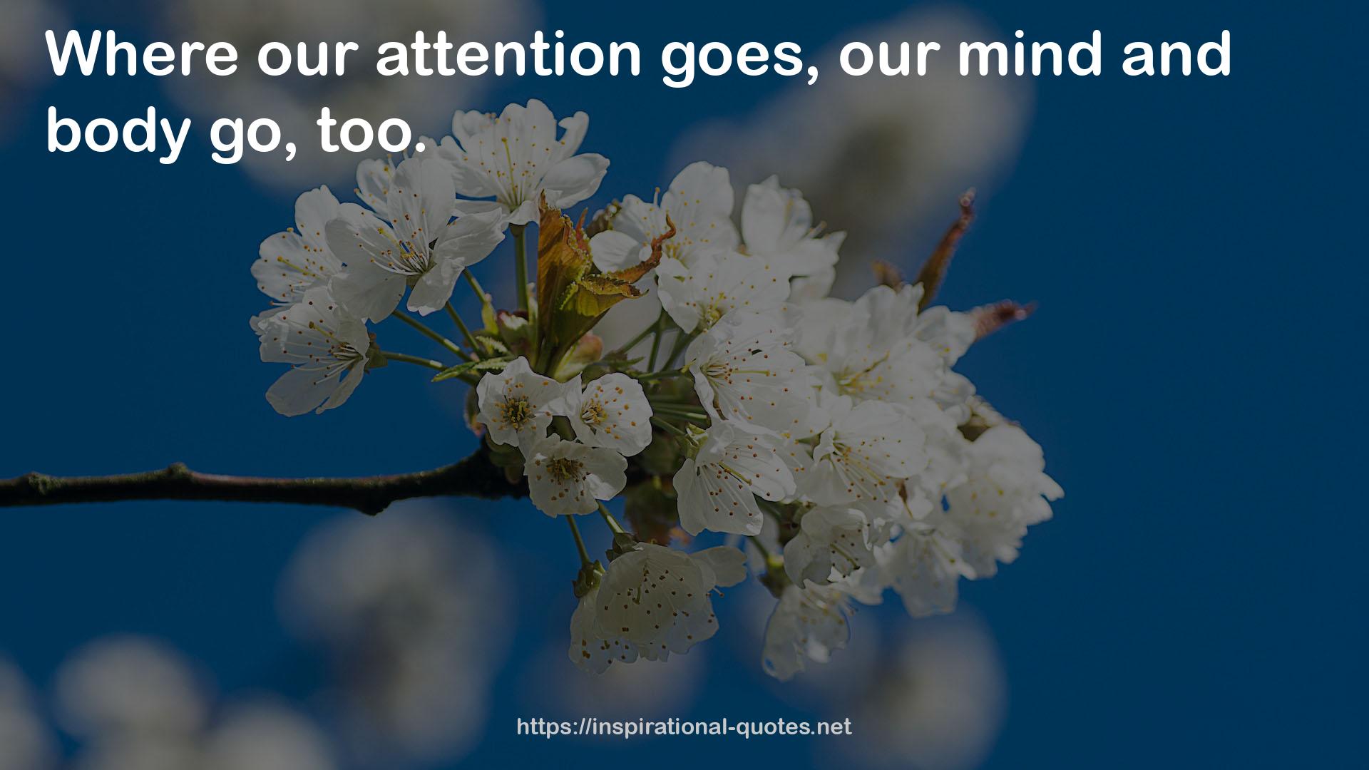 our attention  QUOTES