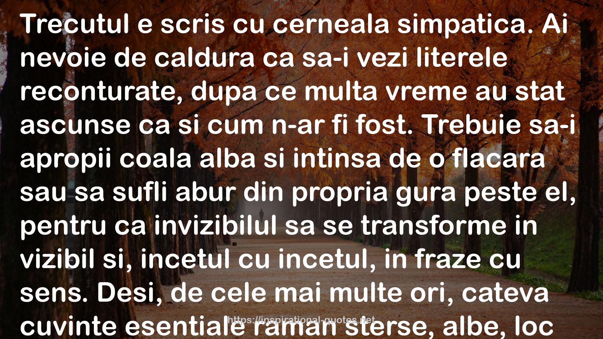 Inocenții QUOTES