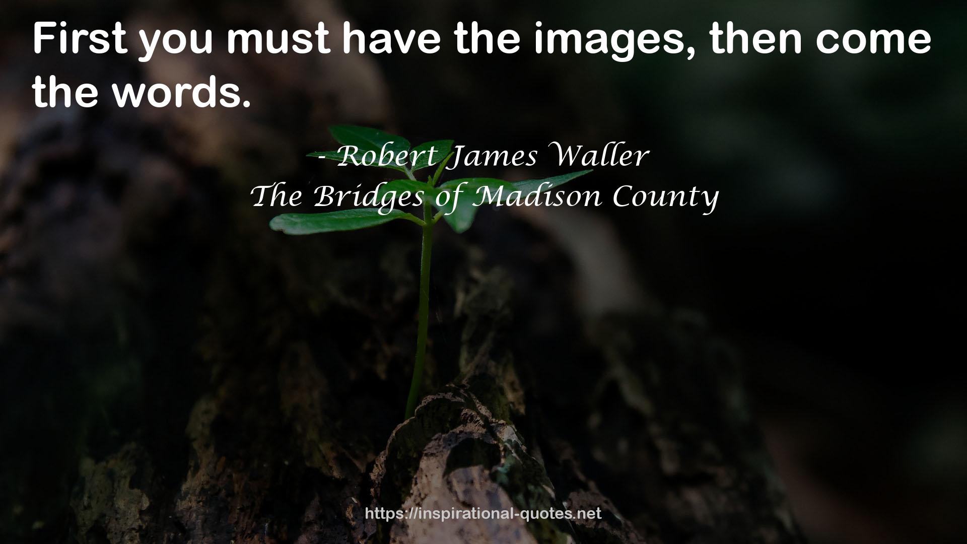 The Bridges of Madison County QUOTES