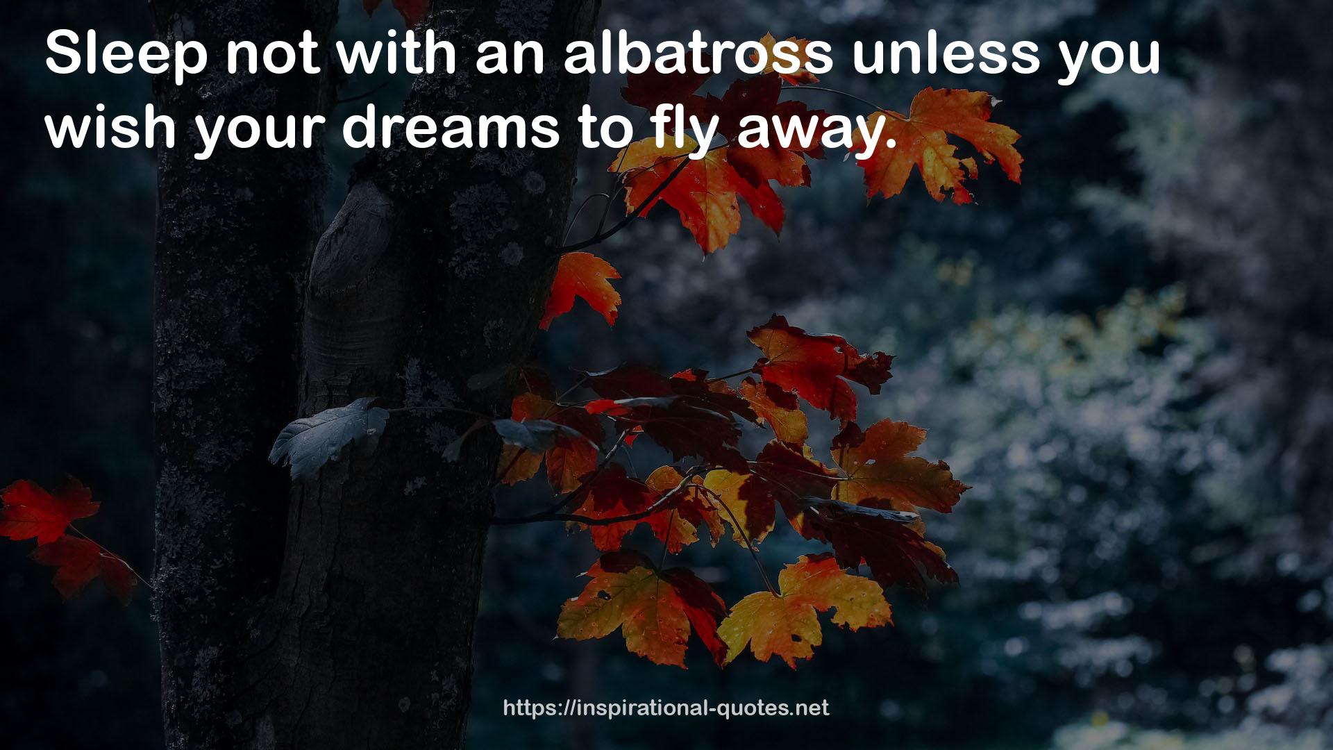 albatross  QUOTES