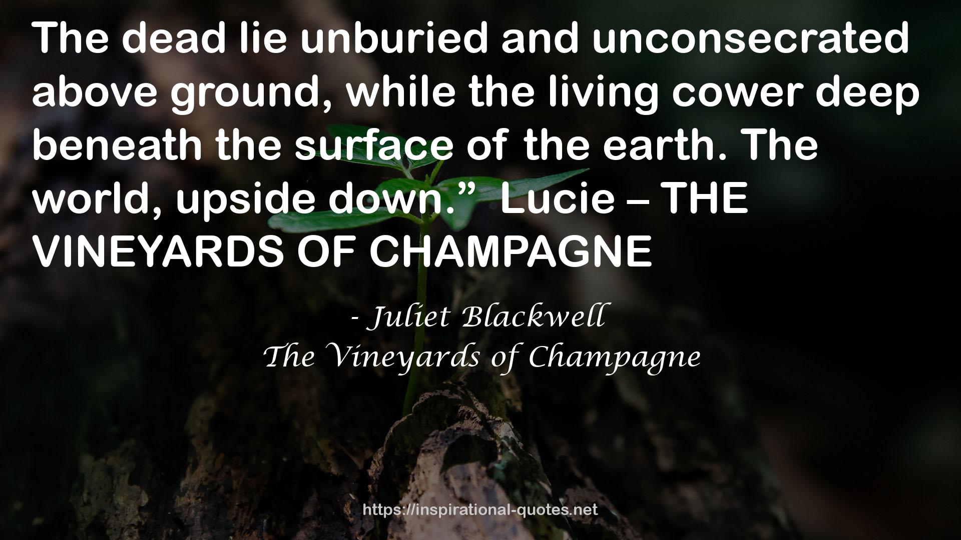 The Vineyards of Champagne QUOTES