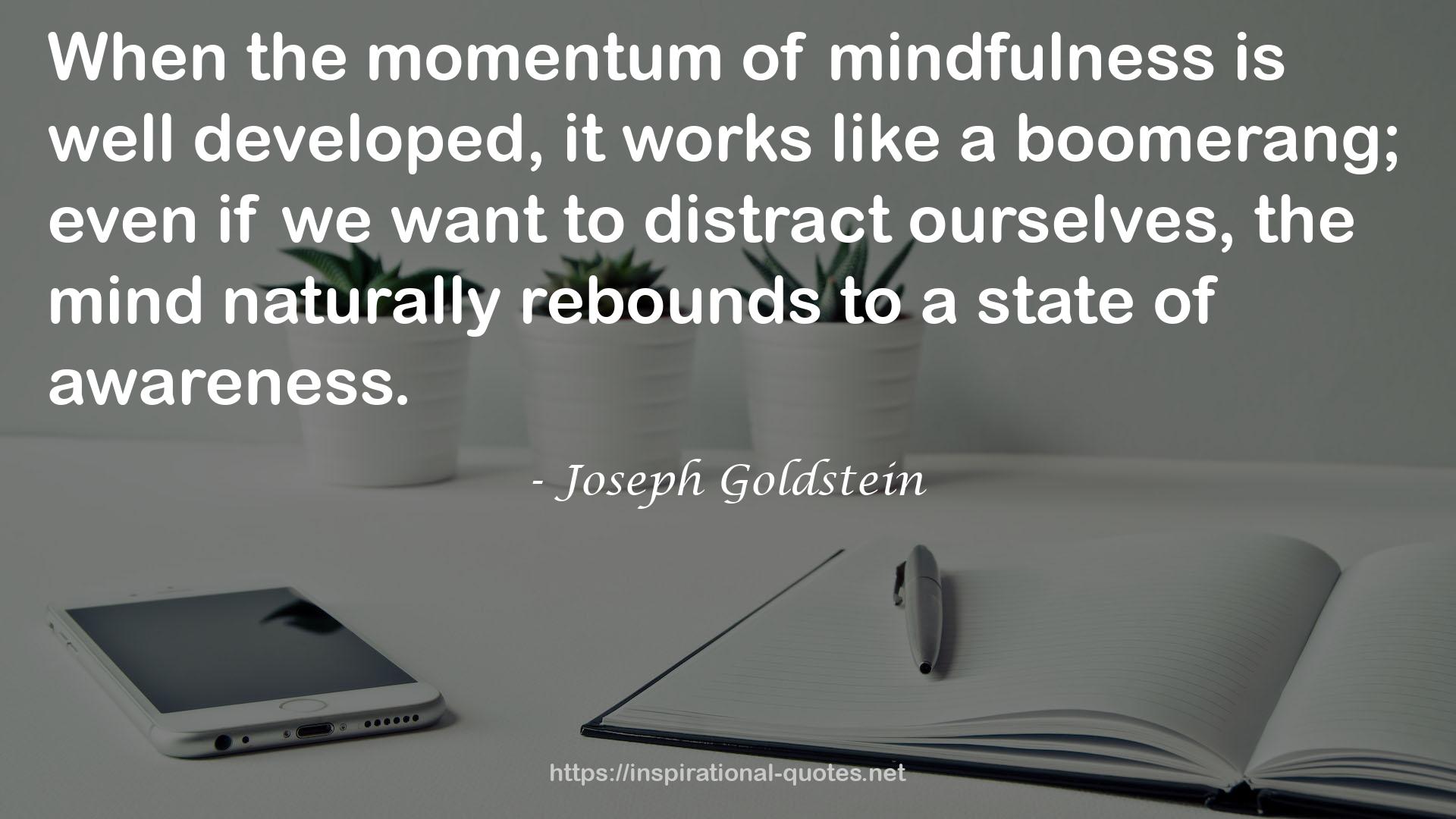 Joseph Goldstein QUOTES