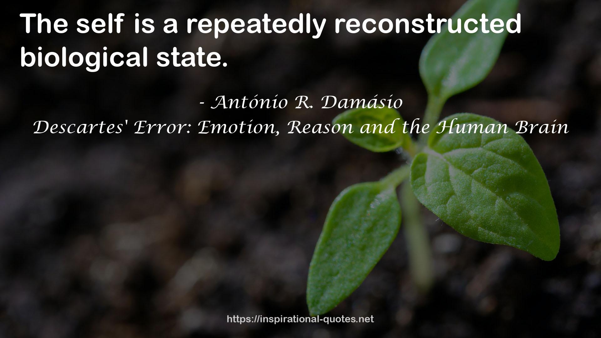 Descartes' Error: Emotion, Reason and the Human Brain QUOTES