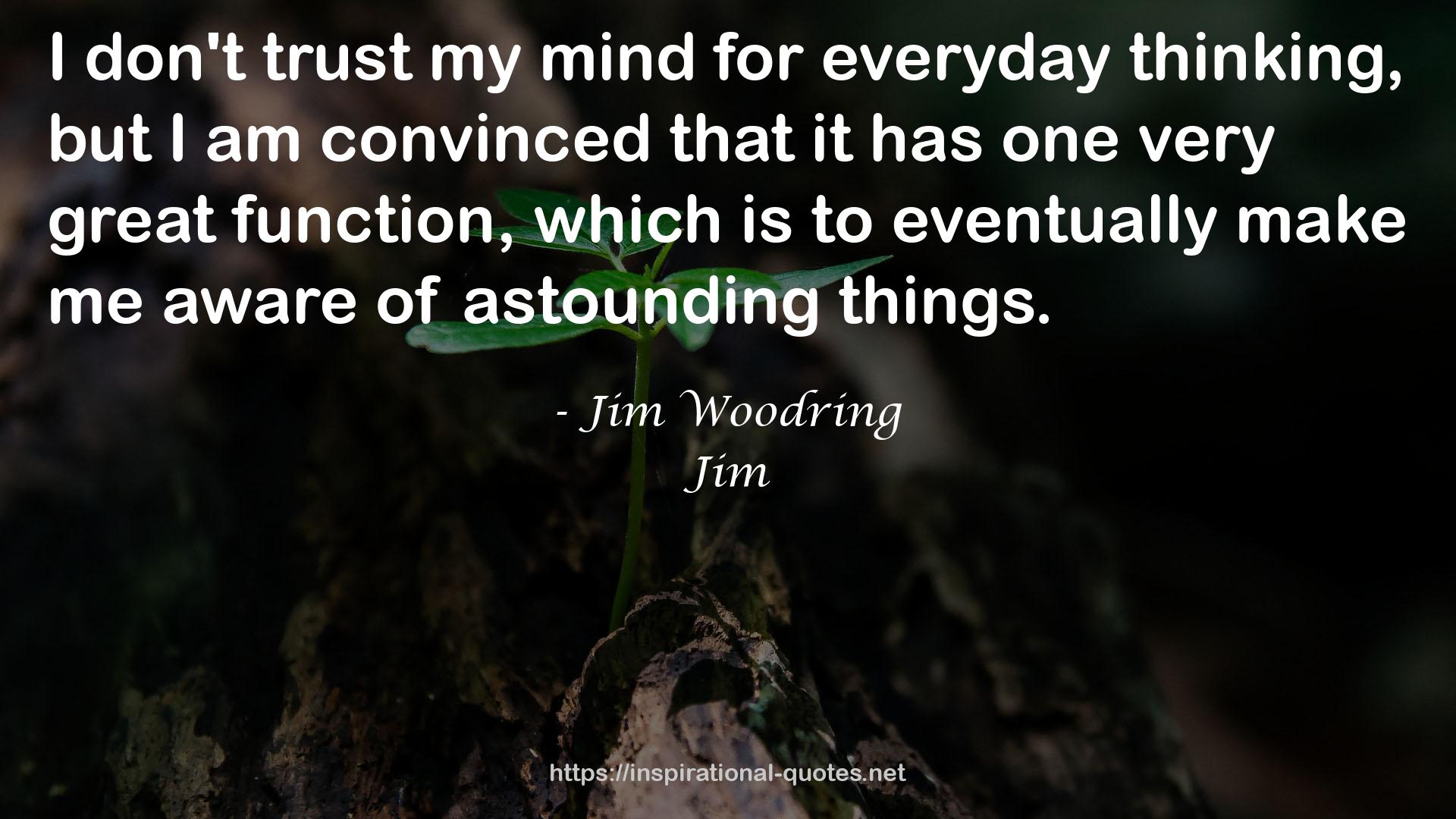 Jim Woodring QUOTES