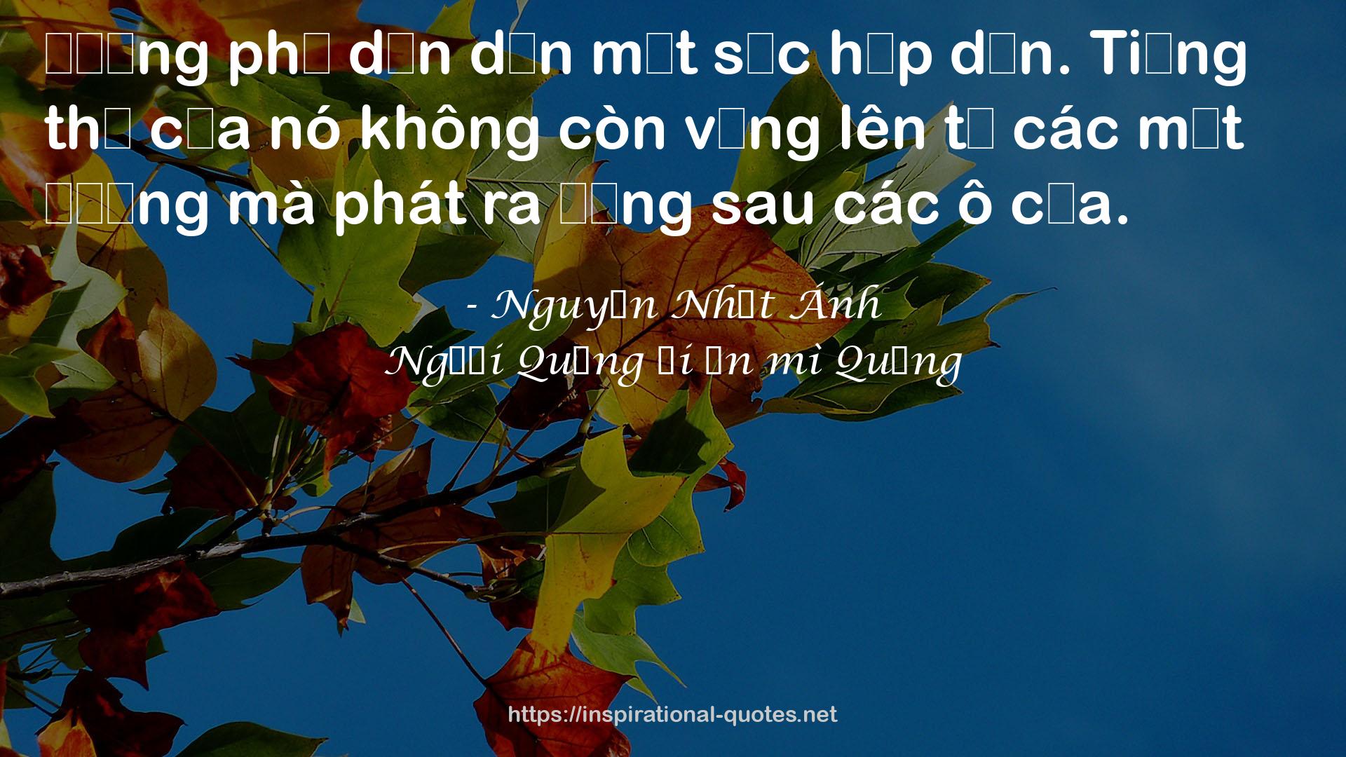 Người Quảng đi ăn mì Quảng QUOTES