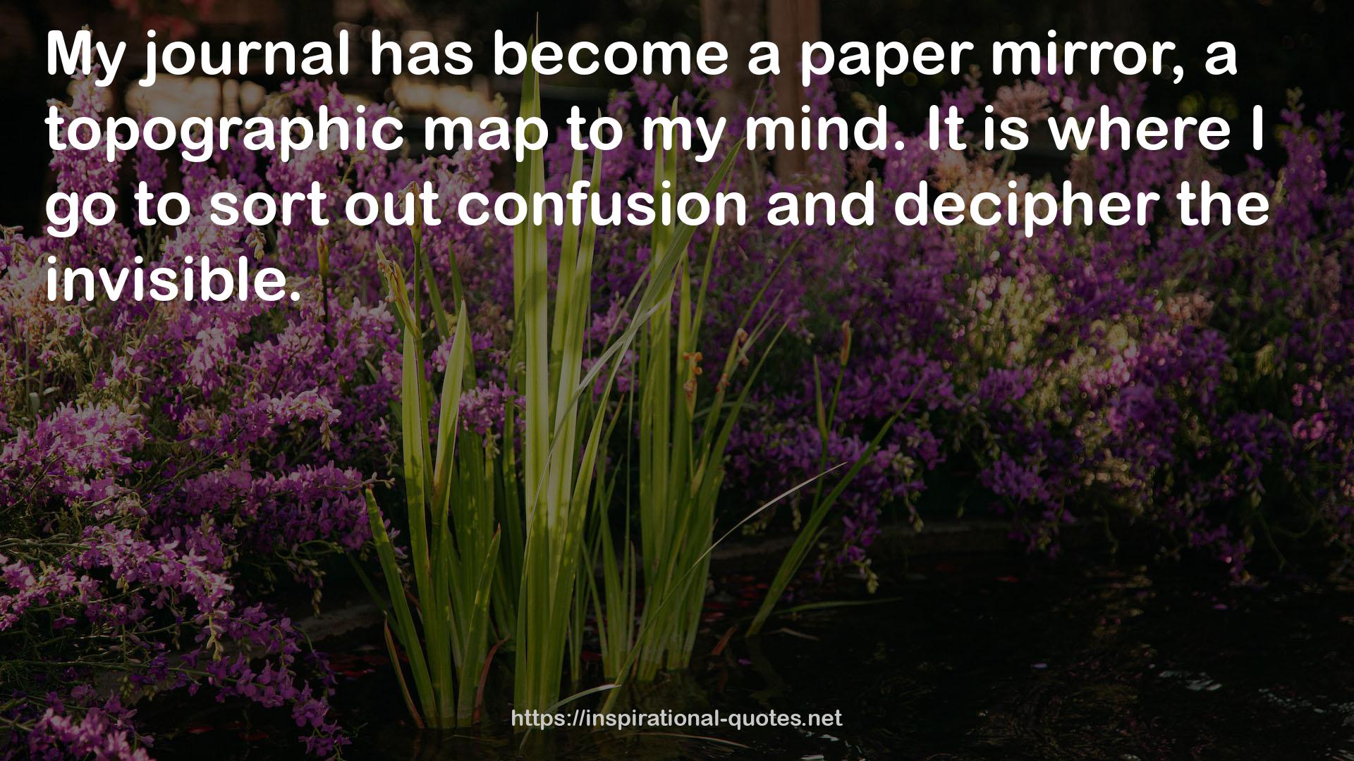 a topographic map  QUOTES