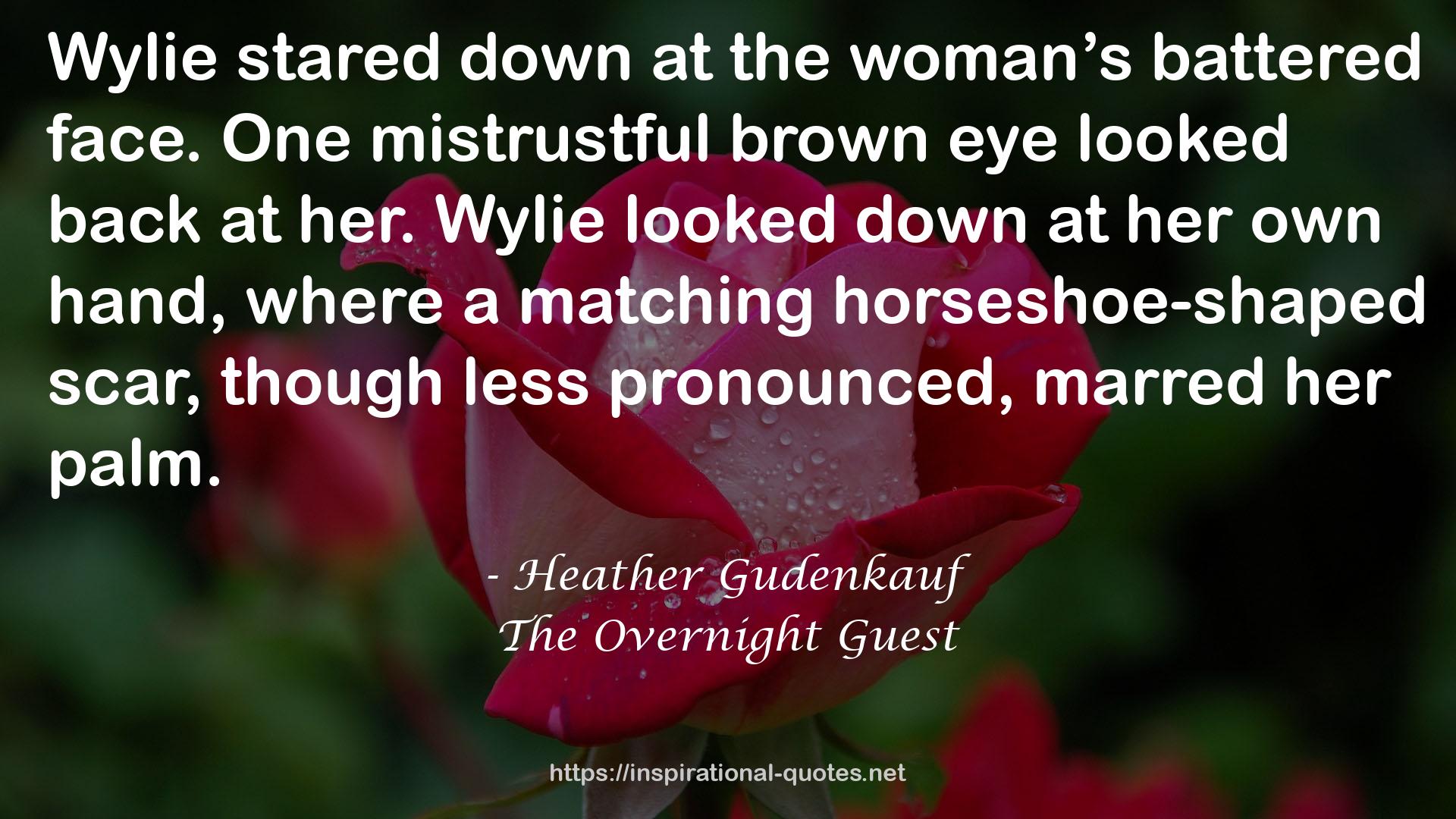 Heather Gudenkauf QUOTES