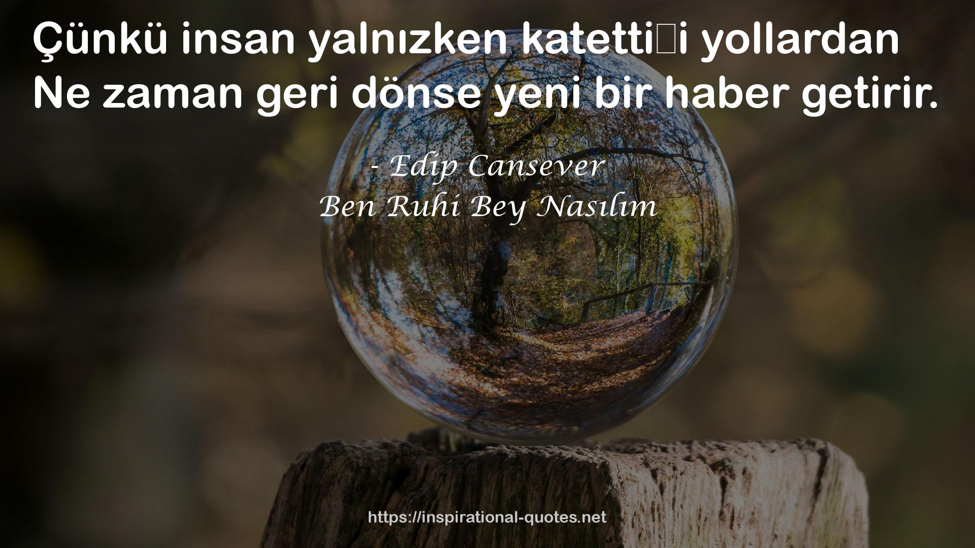 Ben Ruhi Bey Nasılım QUOTES