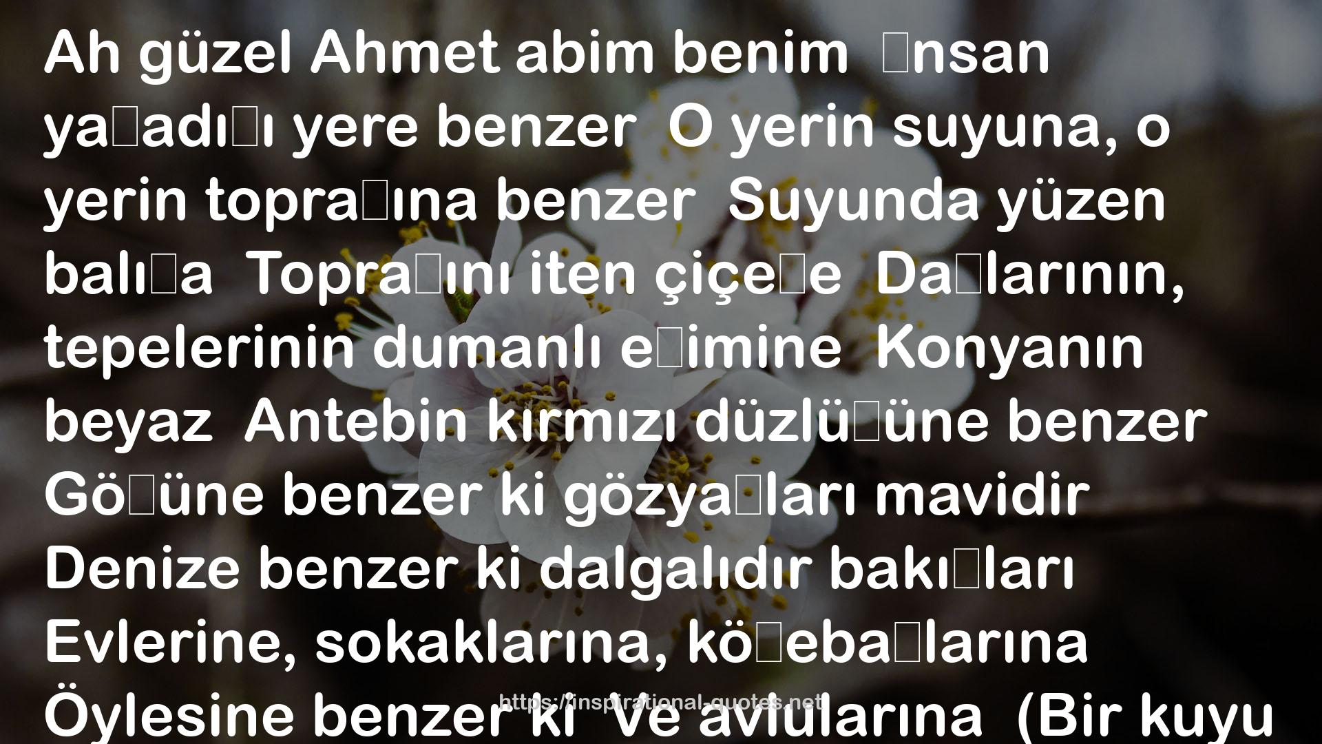 Sonrası Kalır I – Bütün Şiirleri QUOTES