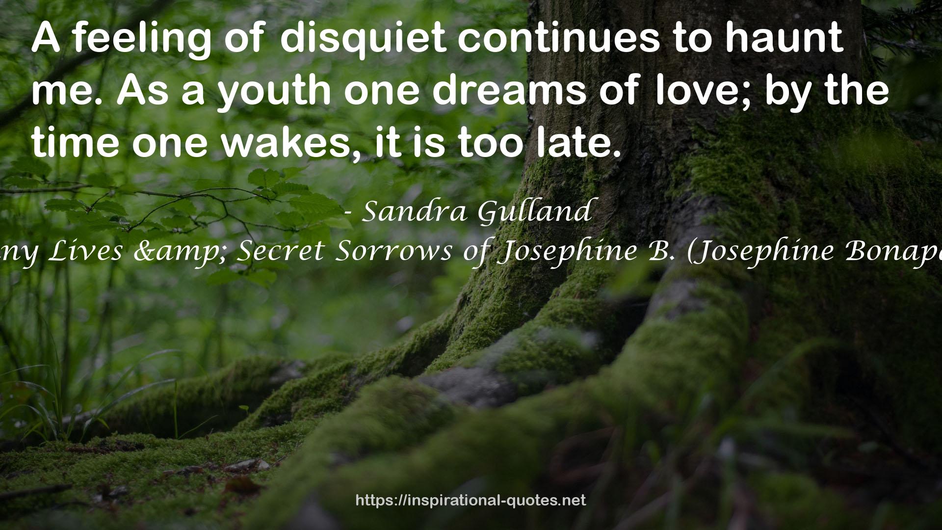 The Many Lives & Secret Sorrows of Josephine B. (Josephine Bonaparte, #1) QUOTES