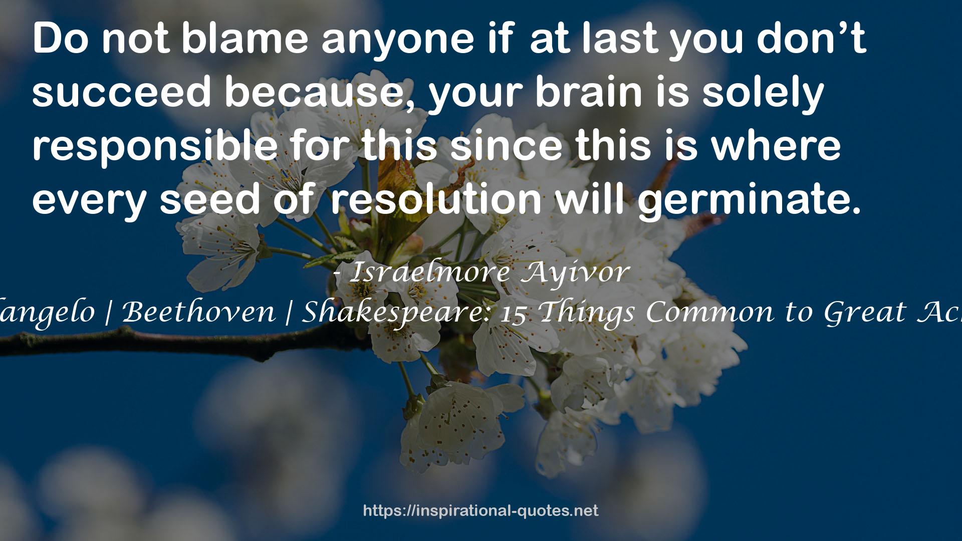 Michelangelo | Beethoven | Shakespeare: 15 Things Common to Great Achievers QUOTES