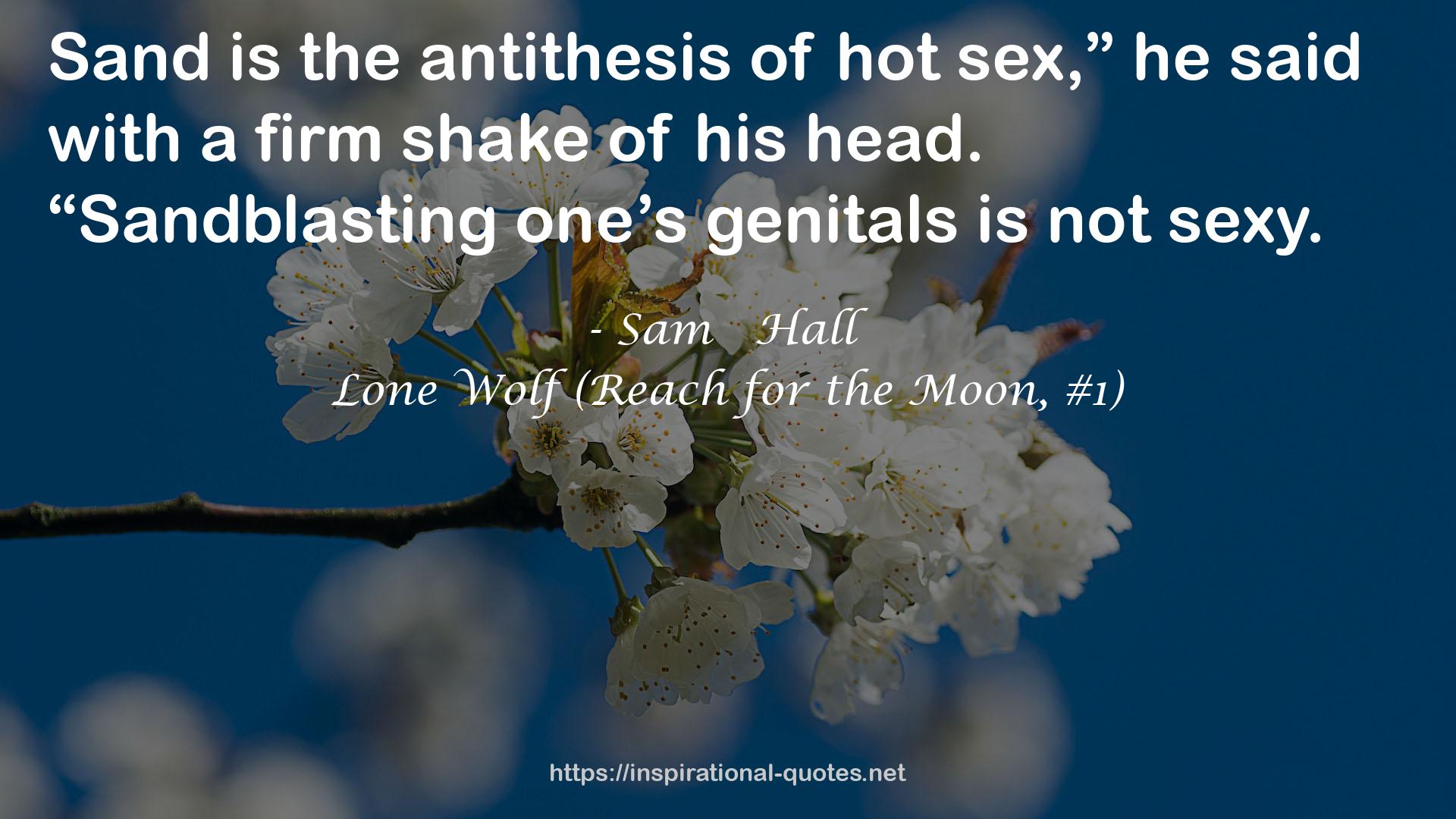 Lone Wolf (Reach for the Moon, #1) QUOTES