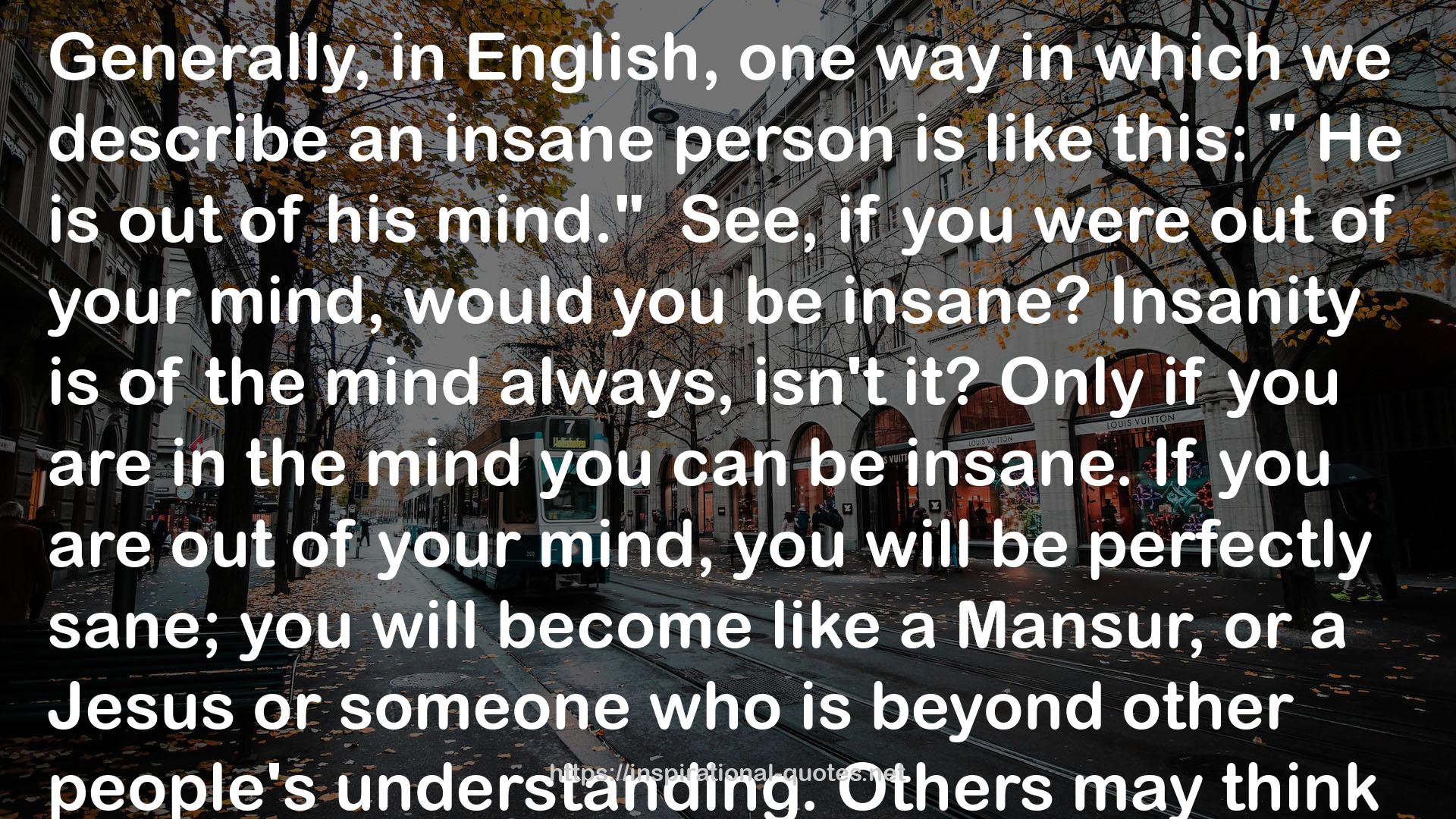 an insane person  QUOTES