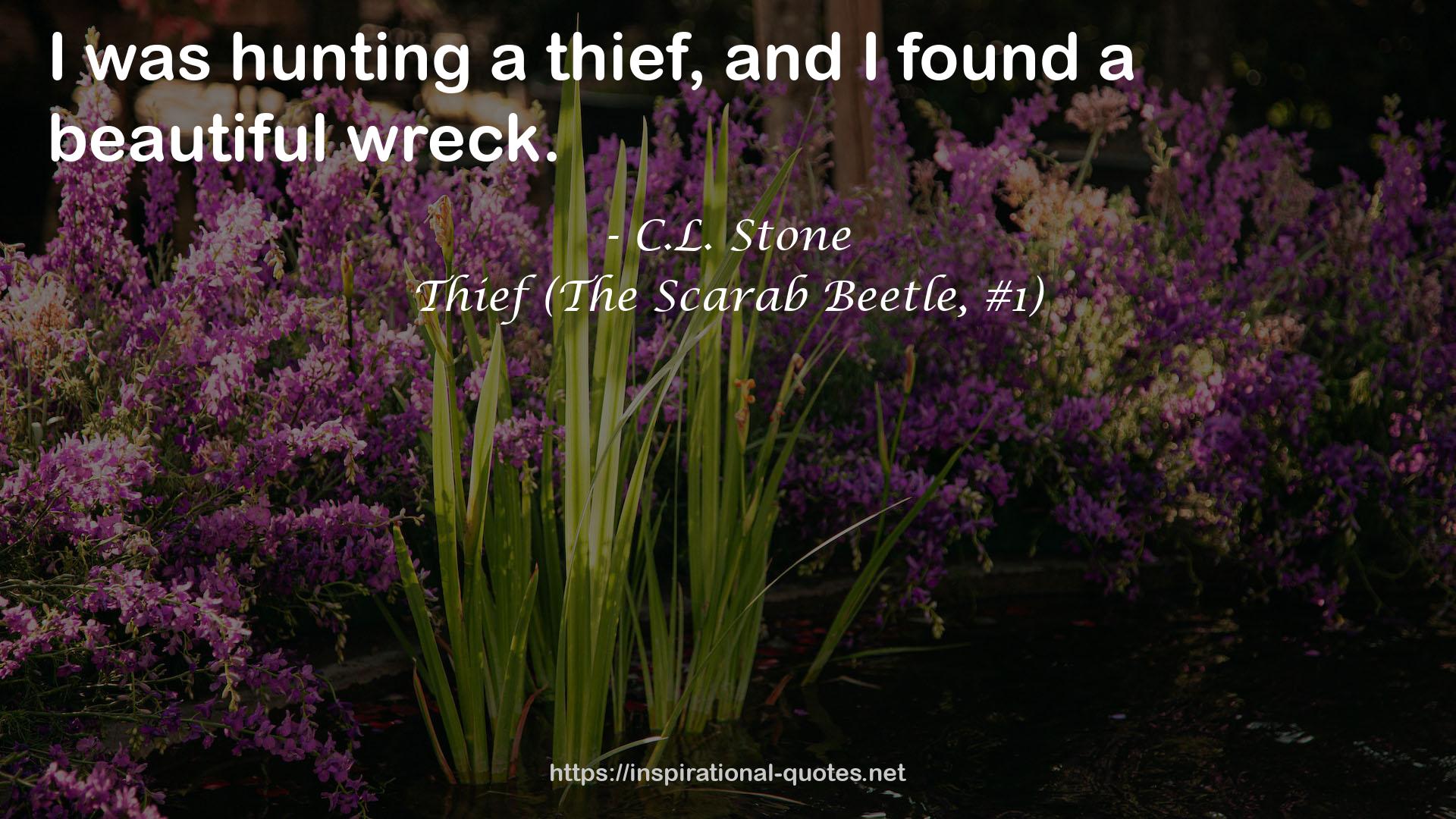 Thief (The Scarab Beetle, #1) QUOTES