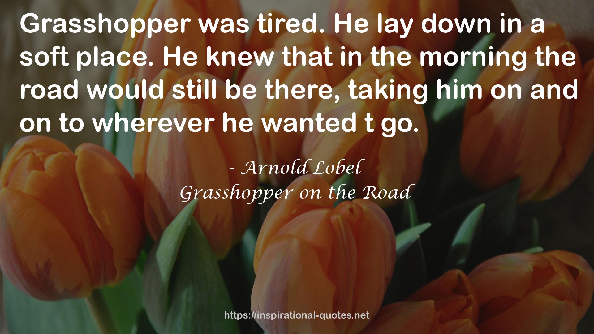 Grasshopper on the Road QUOTES