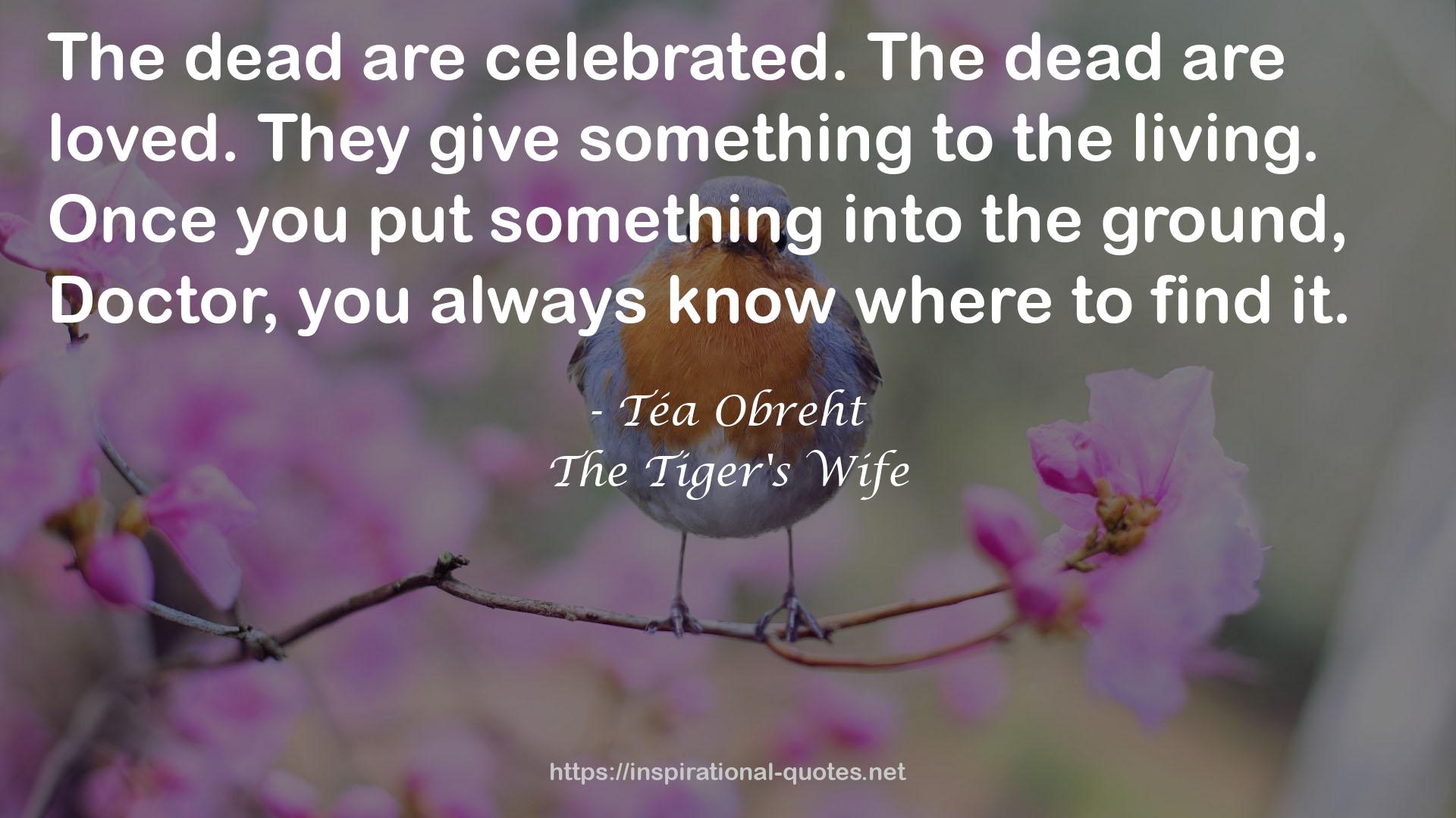 Téa Obreht QUOTES