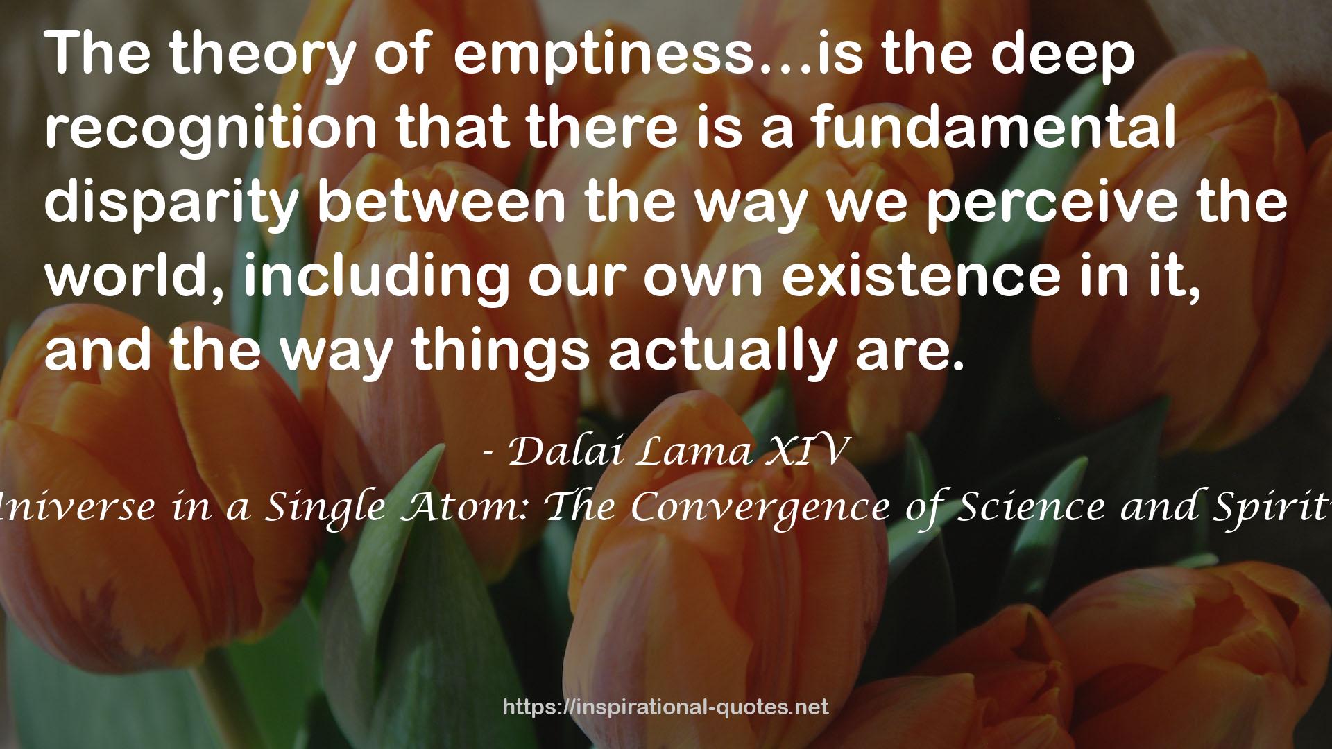 The Universe in a Single Atom: The Convergence of Science and Spirituality QUOTES