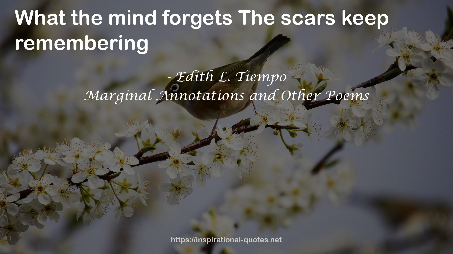 forgetsThe scars  QUOTES