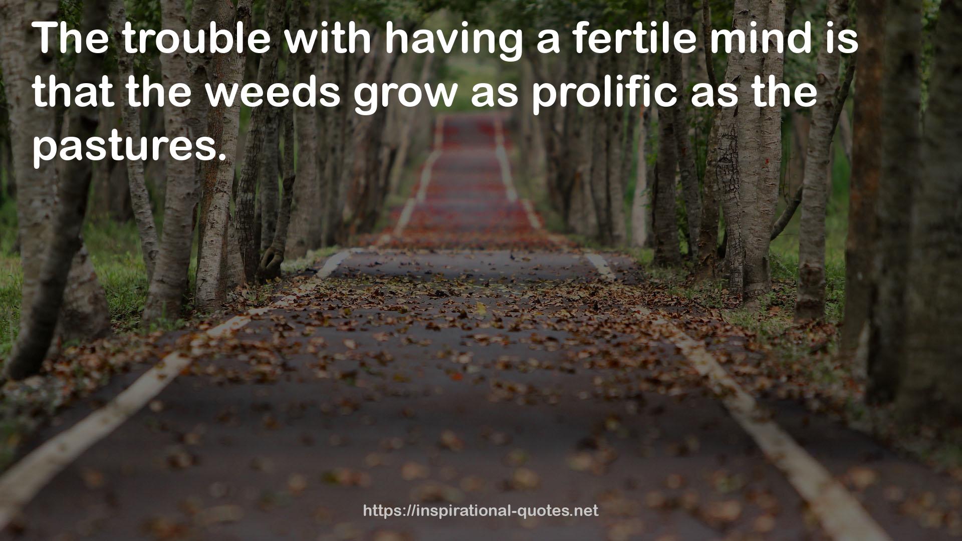 a fertile mind  QUOTES